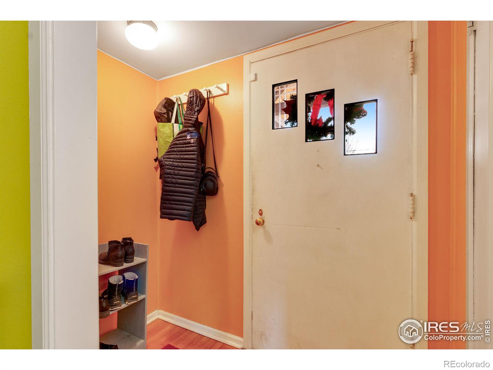 MLS Image #3 for 1113  collyer street,longmont, Colorado
