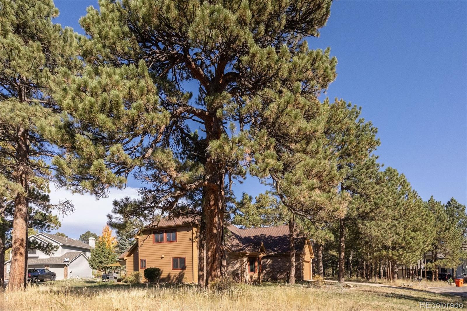 MLS Image #36 for 11  strawflower lane,golden, Colorado