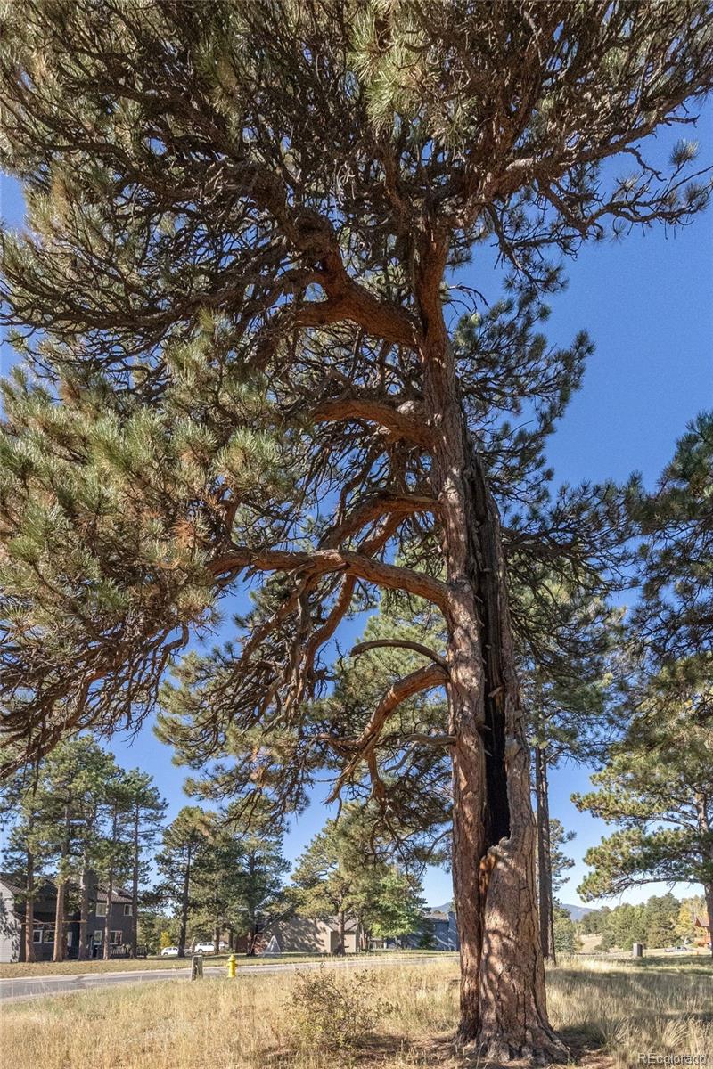 MLS Image #37 for 11  strawflower lane,golden, Colorado