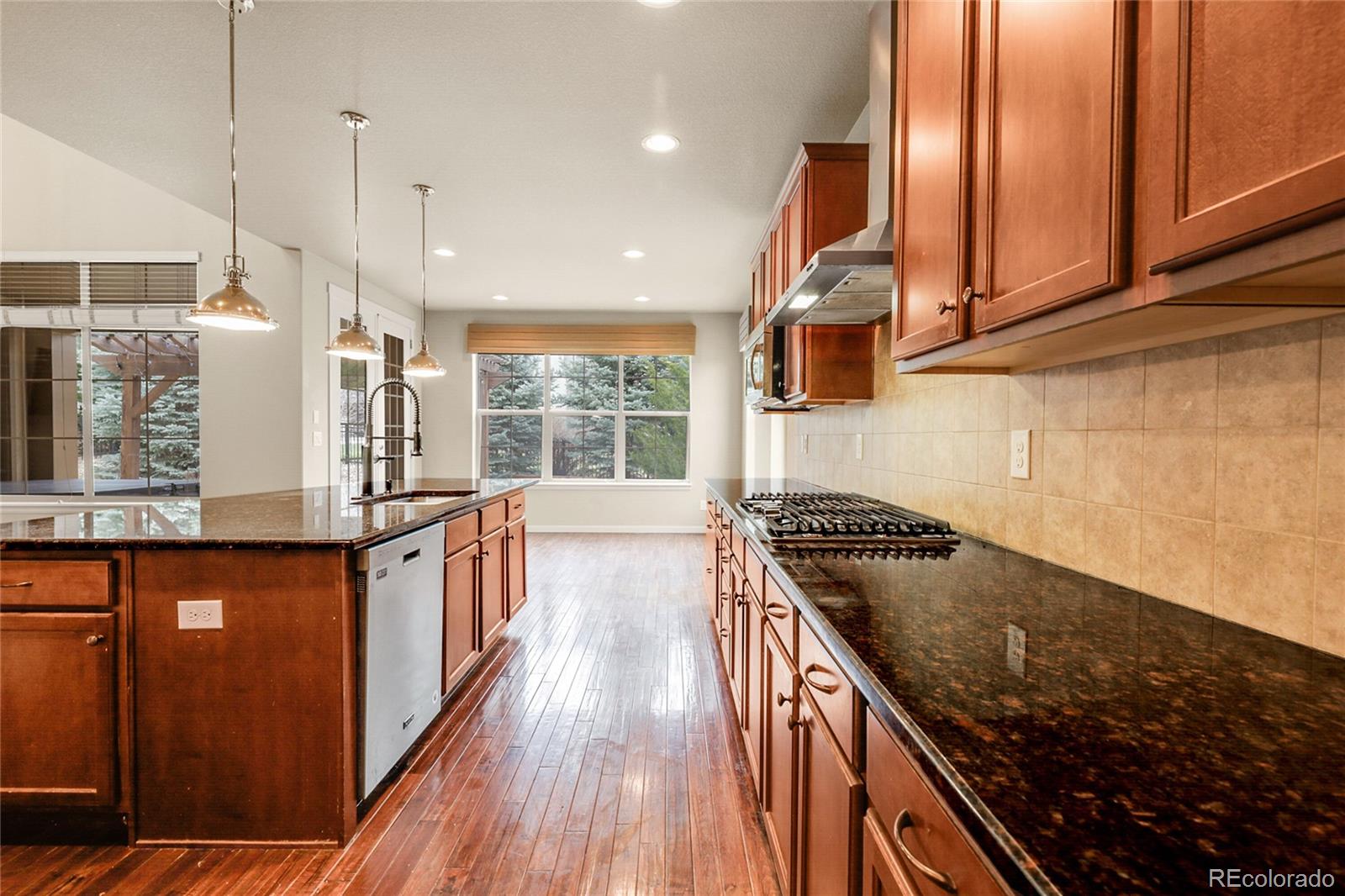 MLS Image #10 for 2344 s lupine street,denver, Colorado