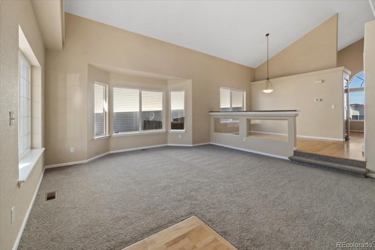 MLS Image #5 for 20781 e 48th place,denver, Colorado
