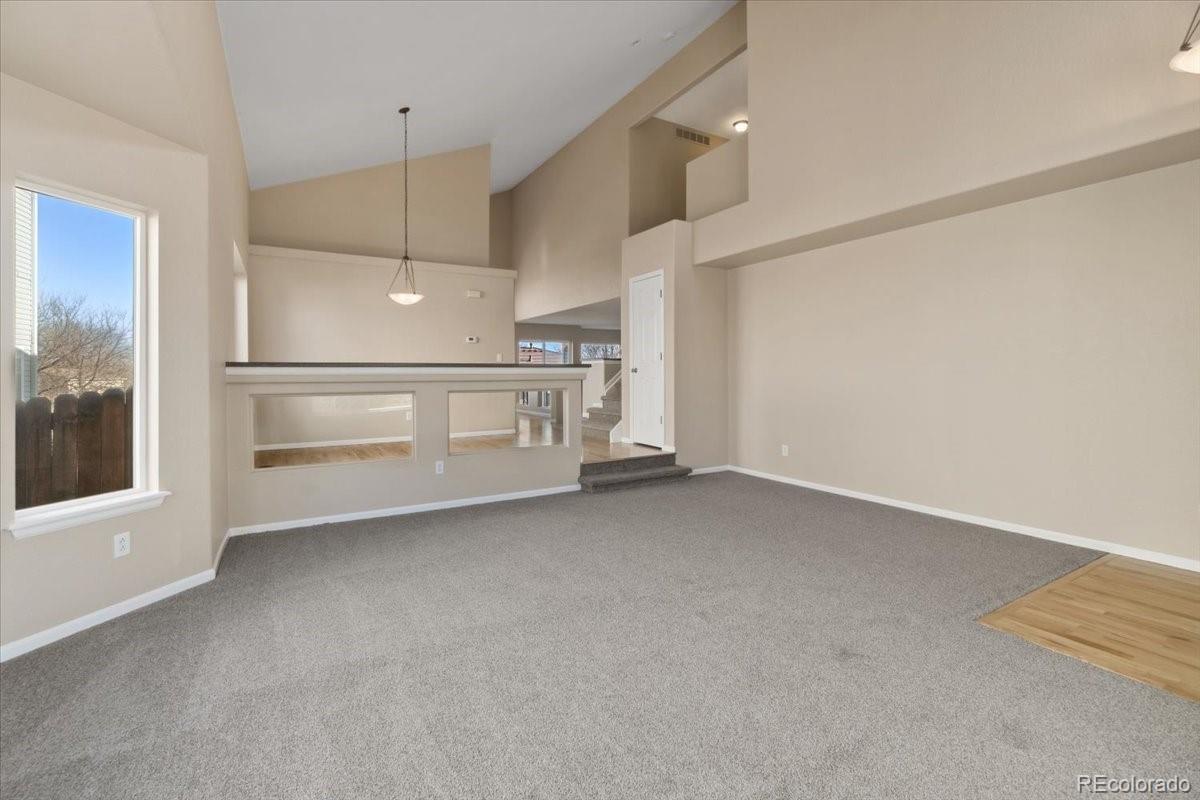 MLS Image #6 for 20781 e 48th place,denver, Colorado