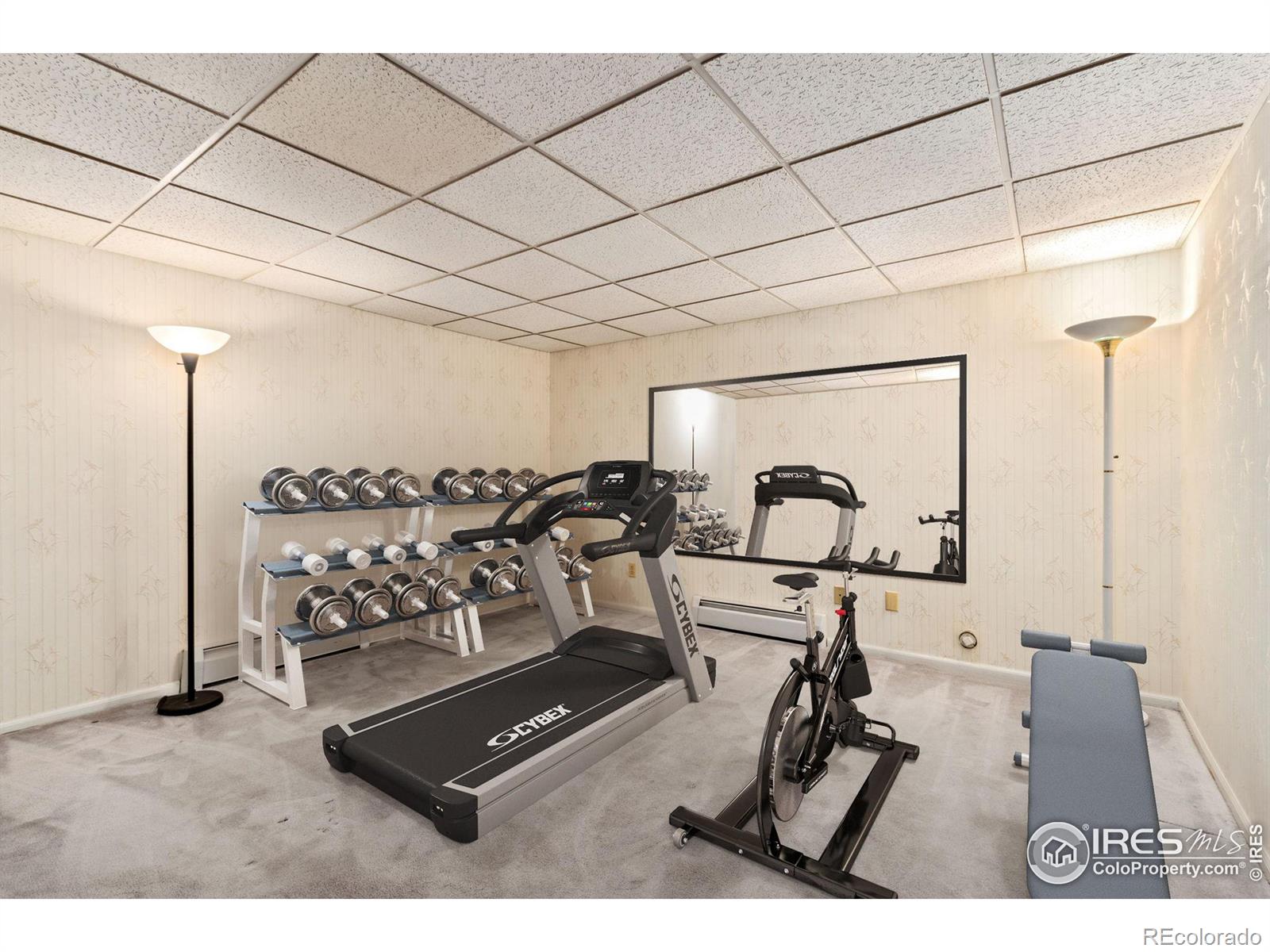 MLS Image #39 for 2420  frances drive,loveland, Colorado