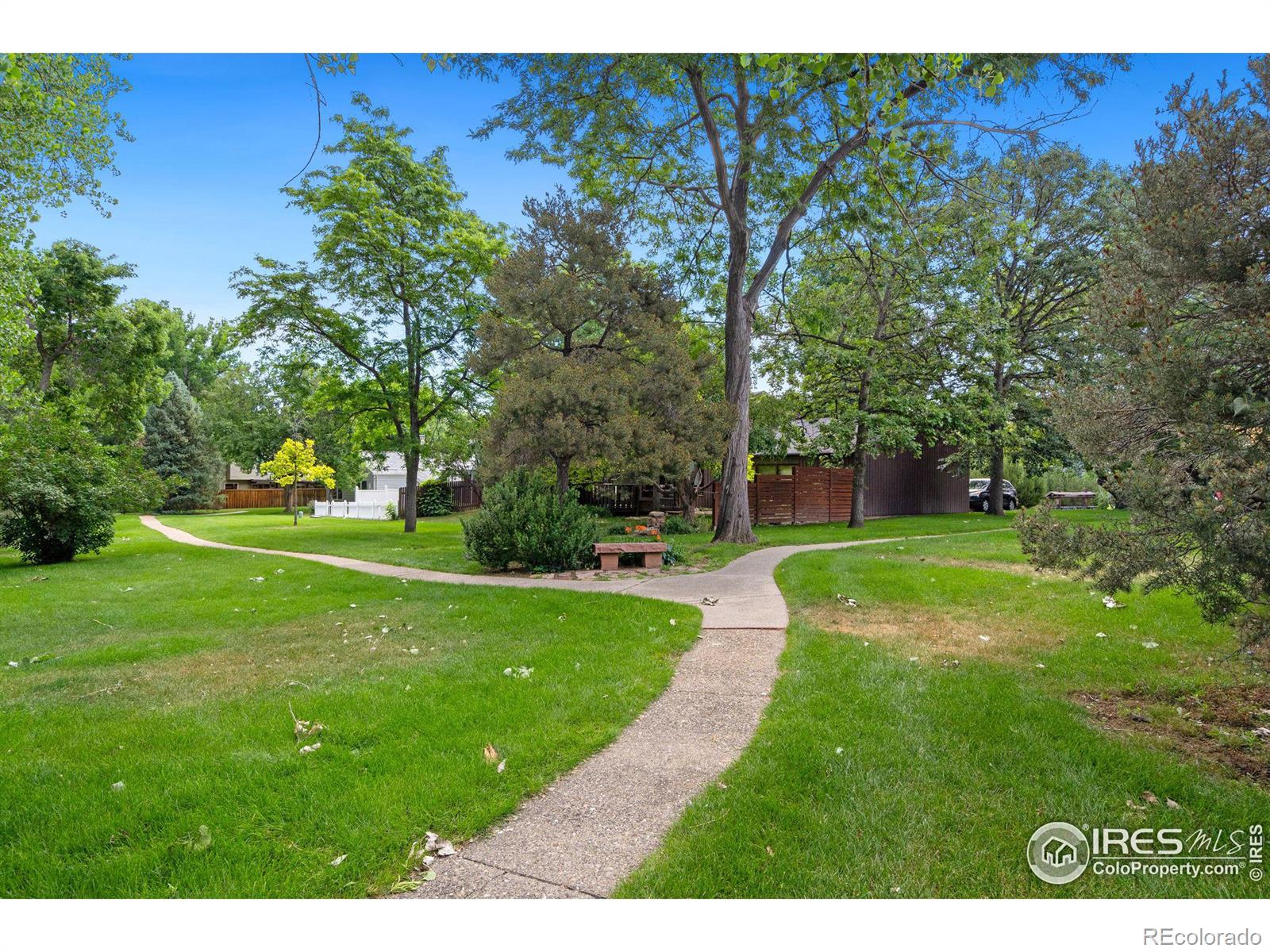 MLS Image #5 for 2420  frances drive,loveland, Colorado
