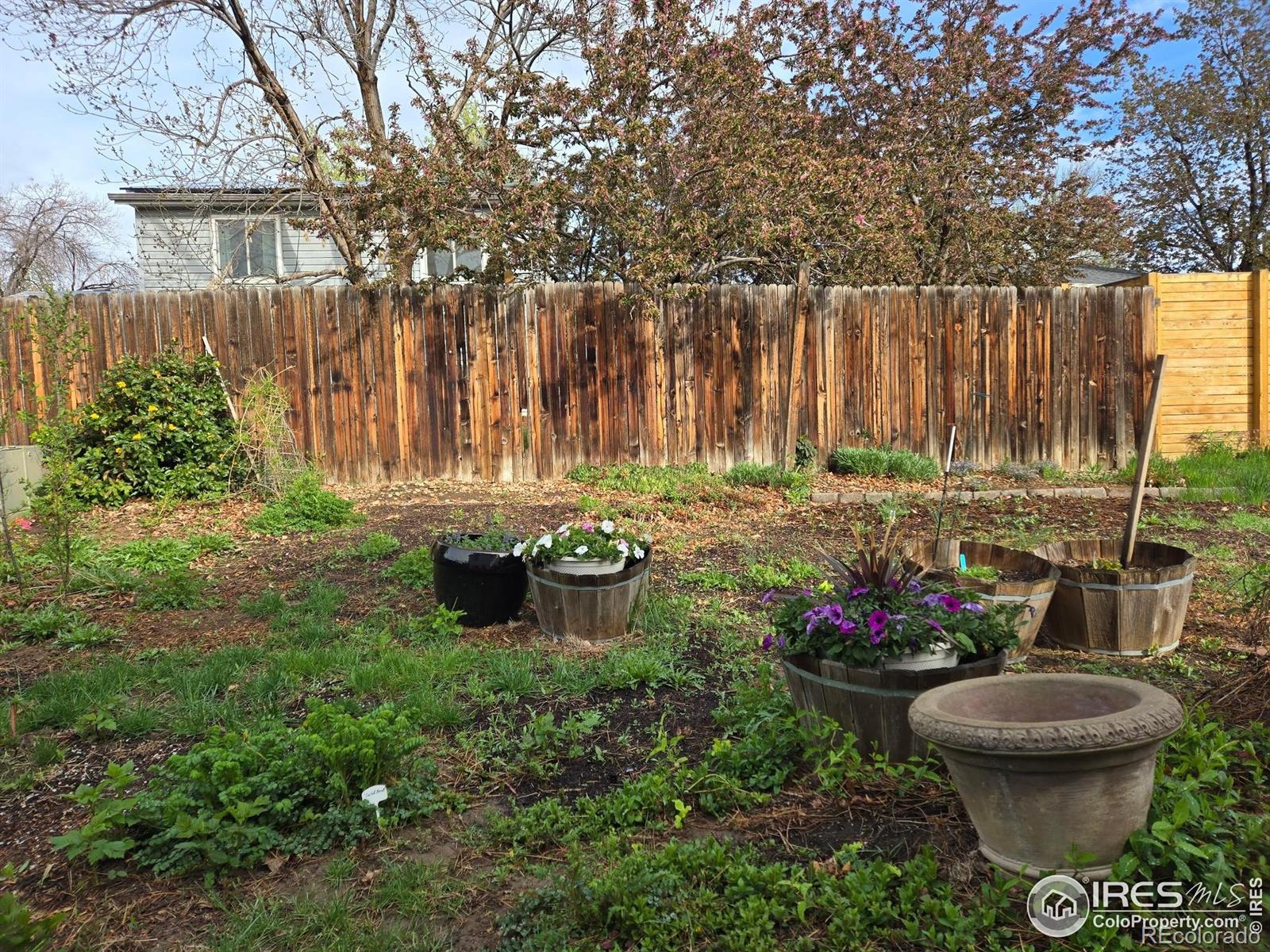 MLS Image #24 for 339 s hoover avenue,louisville, Colorado