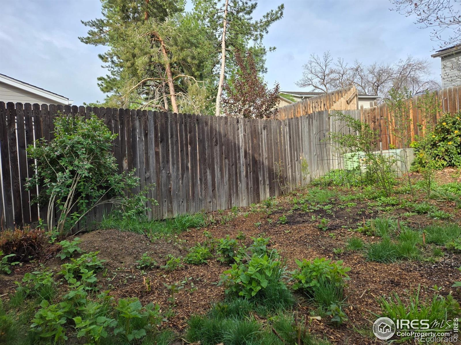 MLS Image #35 for 339 s hoover avenue,louisville, Colorado