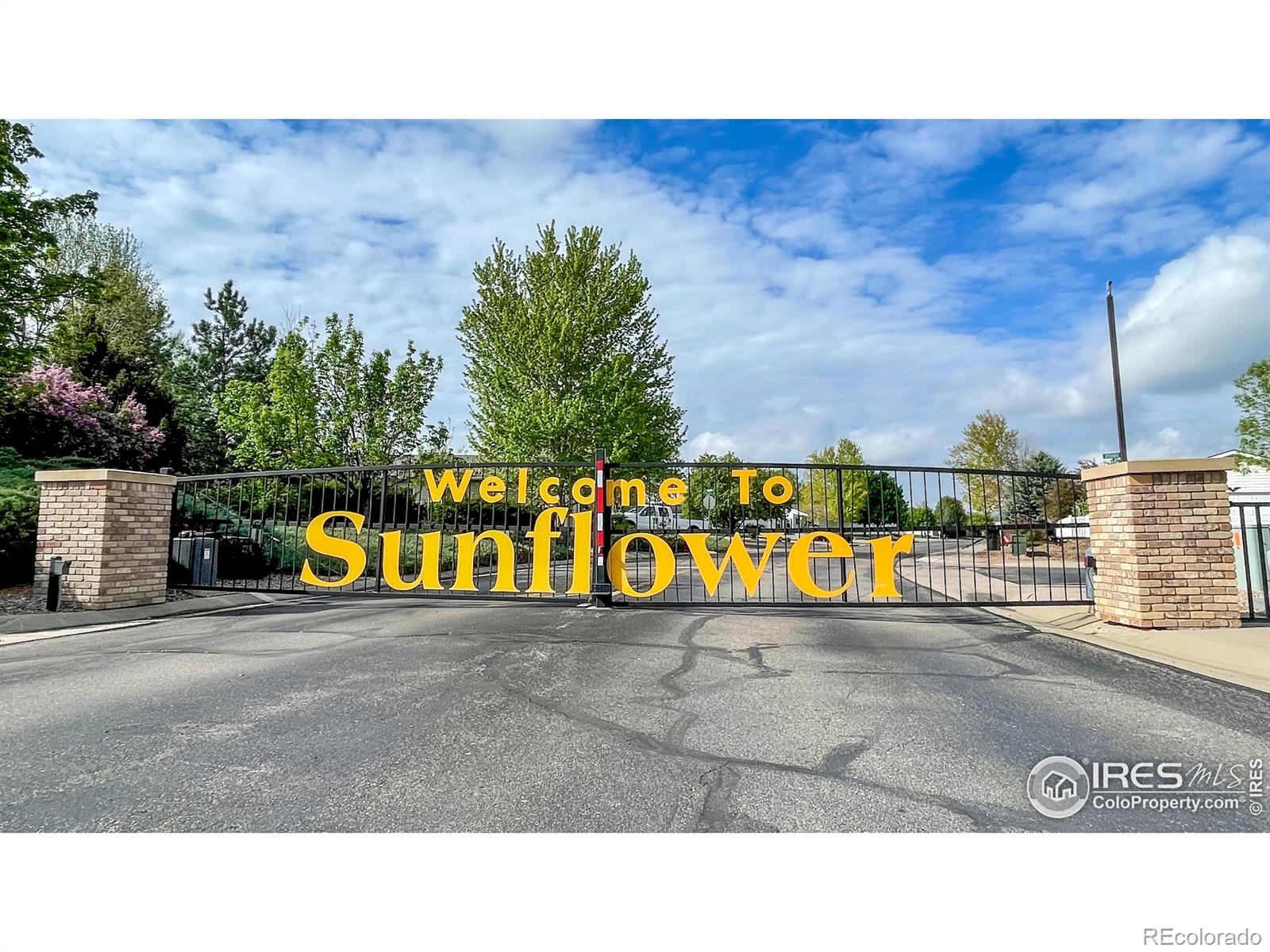 MLS Image #23 for 826  sunchase drive,fort collins, Colorado