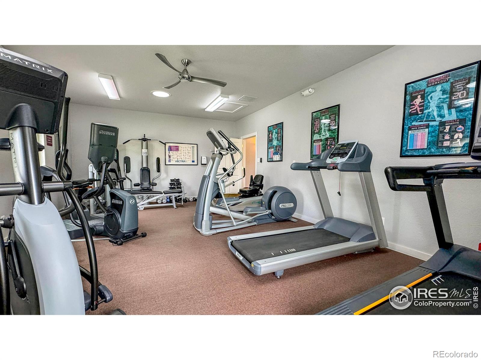 MLS Image #27 for 826  sunchase drive,fort collins, Colorado