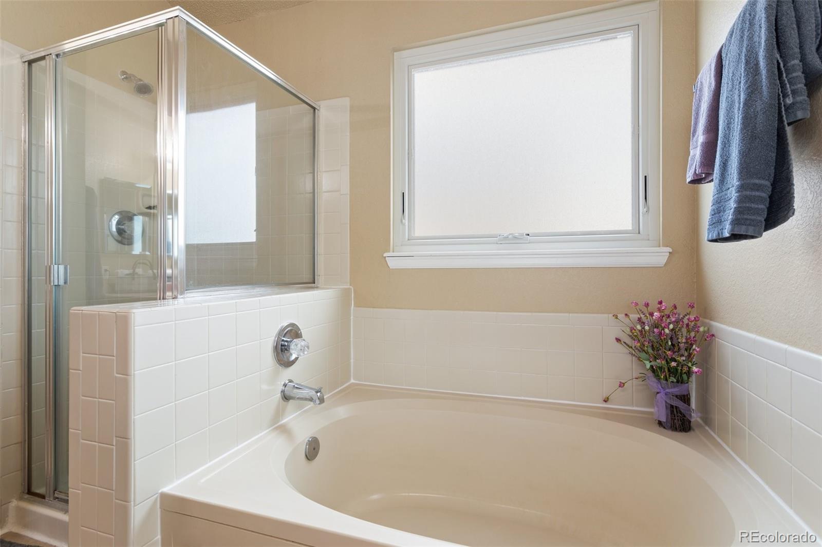 MLS Image #21 for 4324  horizonpoint drive,colorado springs, Colorado