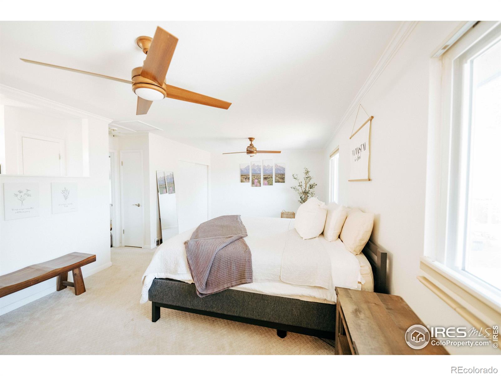 MLS Image #14 for 6833 s buffalo street,littleton, Colorado