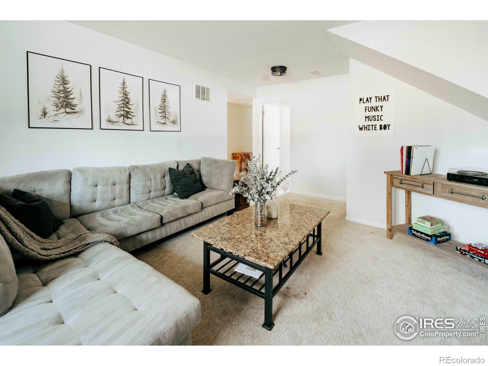 MLS Image #21 for 6833 s buffalo street,littleton, Colorado