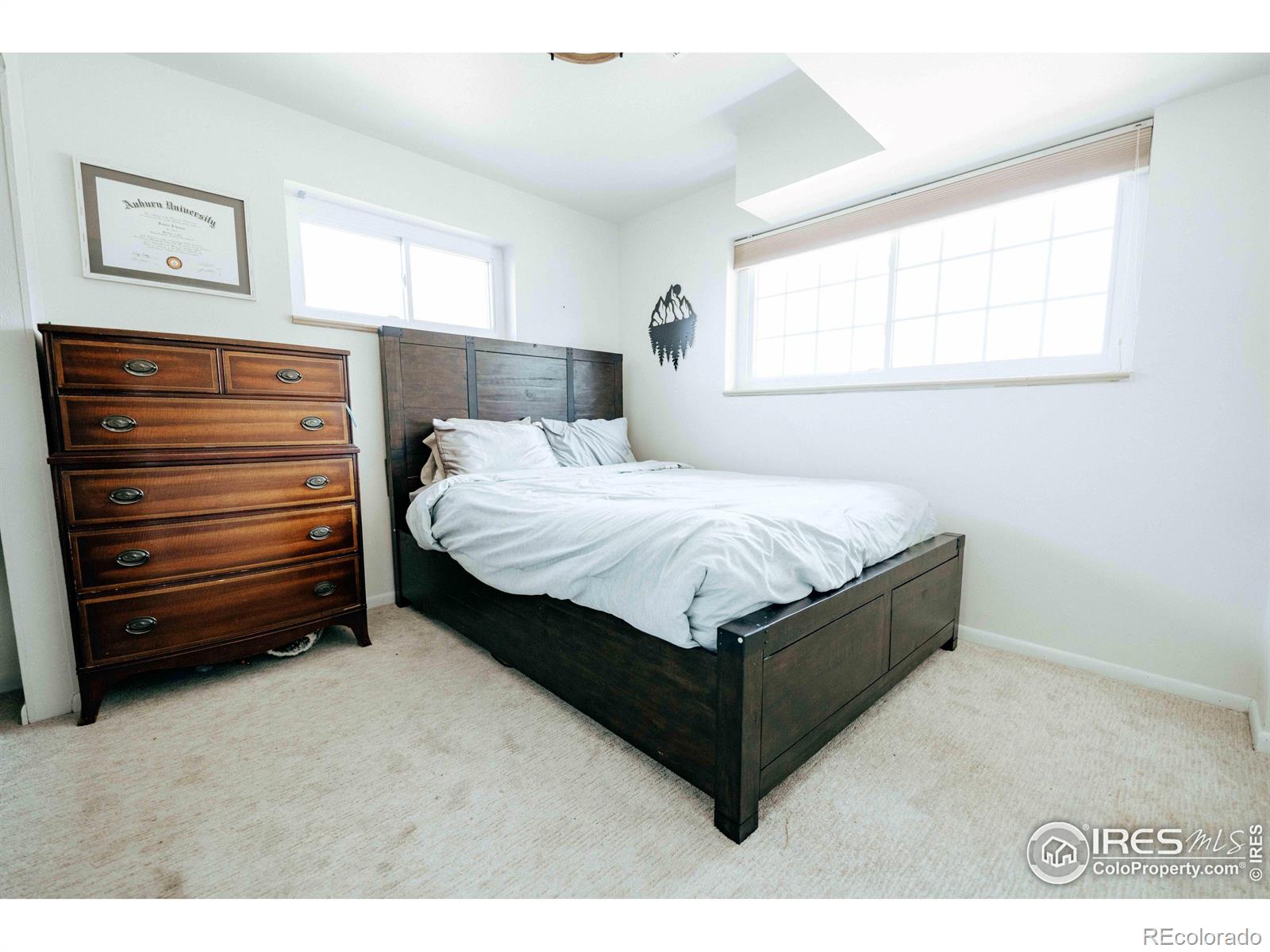 MLS Image #26 for 6833 s buffalo street,littleton, Colorado