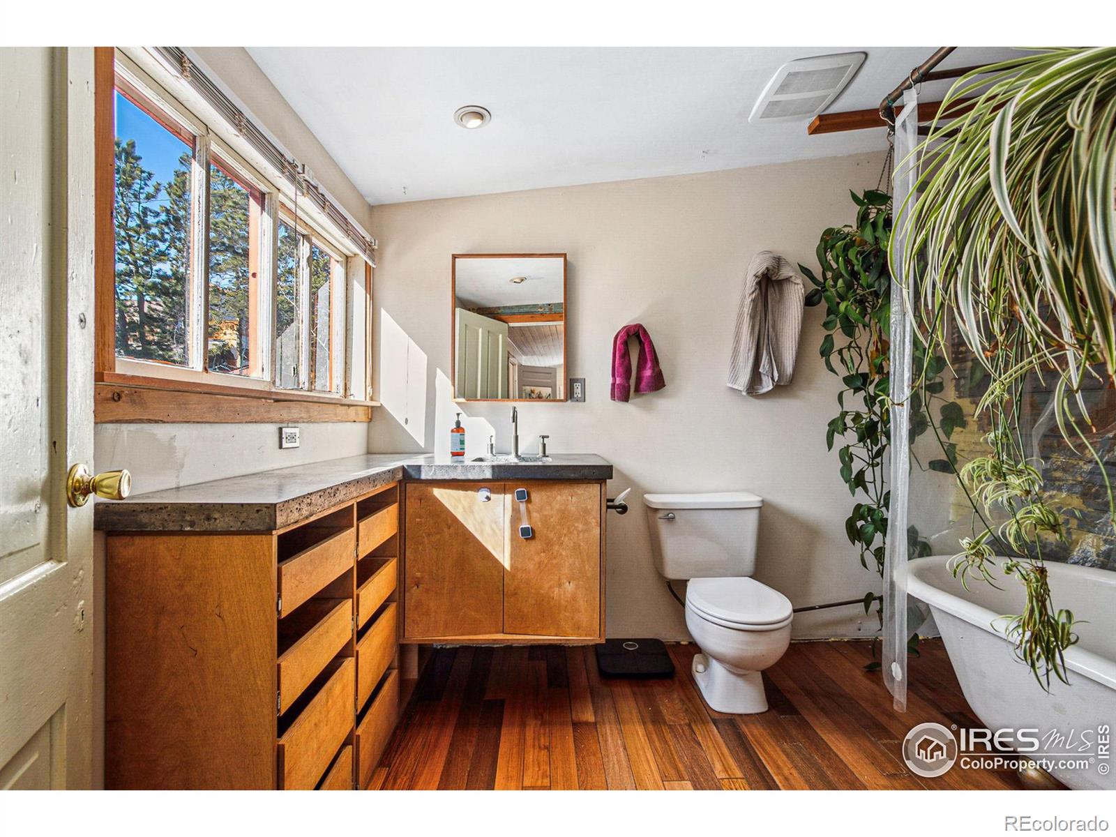 MLS Image #21 for 508 w breed street,nederland, Colorado