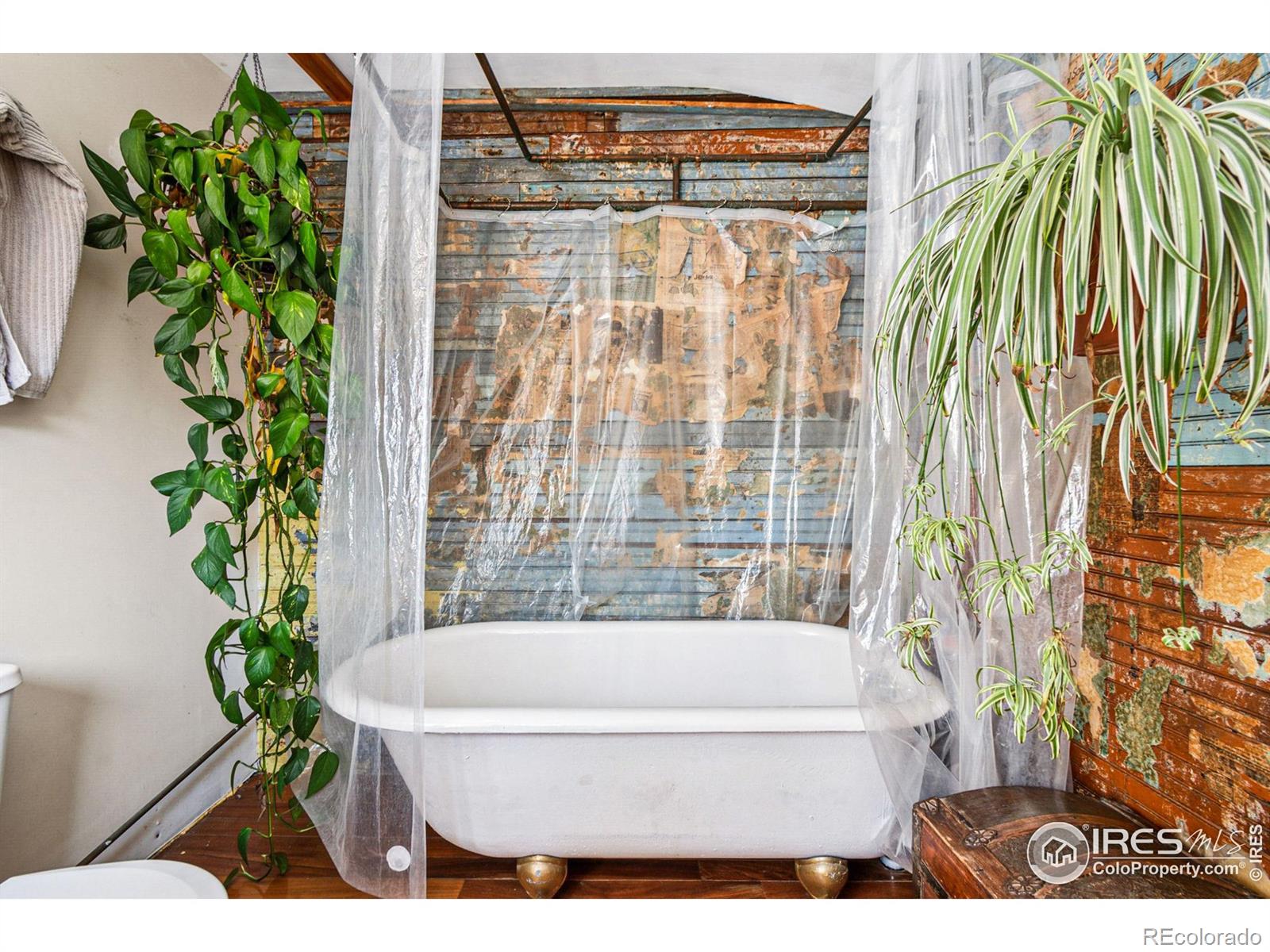 MLS Image #22 for 508 w breed street,nederland, Colorado