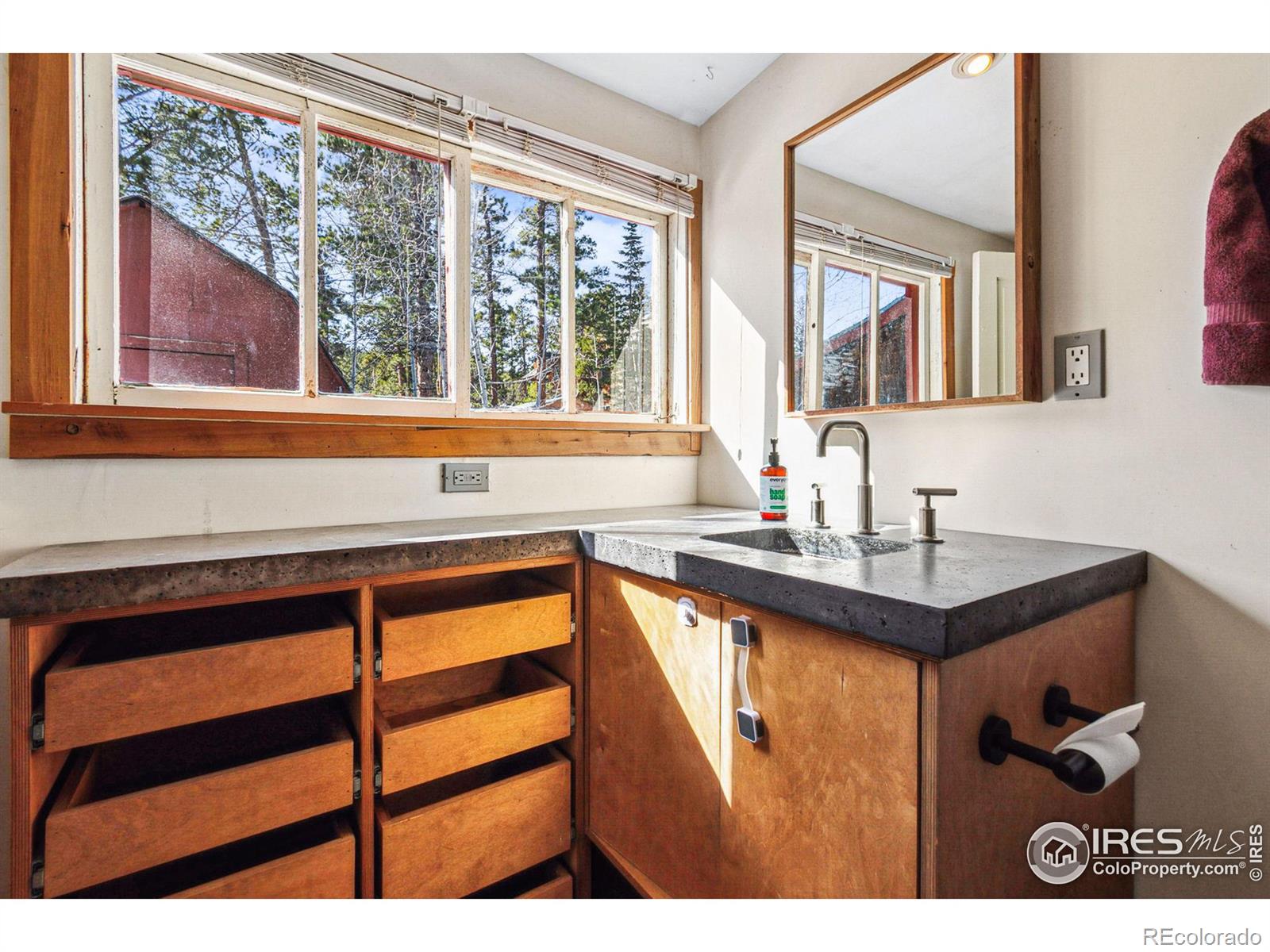 MLS Image #23 for 508 w breed street,nederland, Colorado