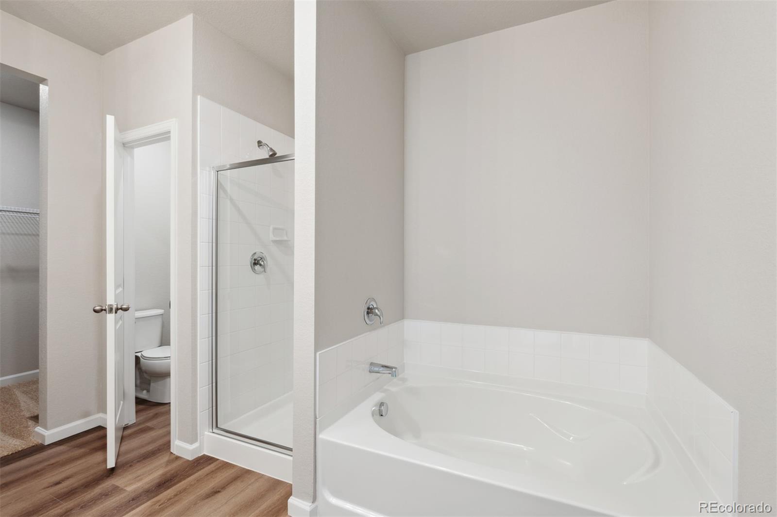 MLS Image #10 for 1056  long meadows street,severance, Colorado