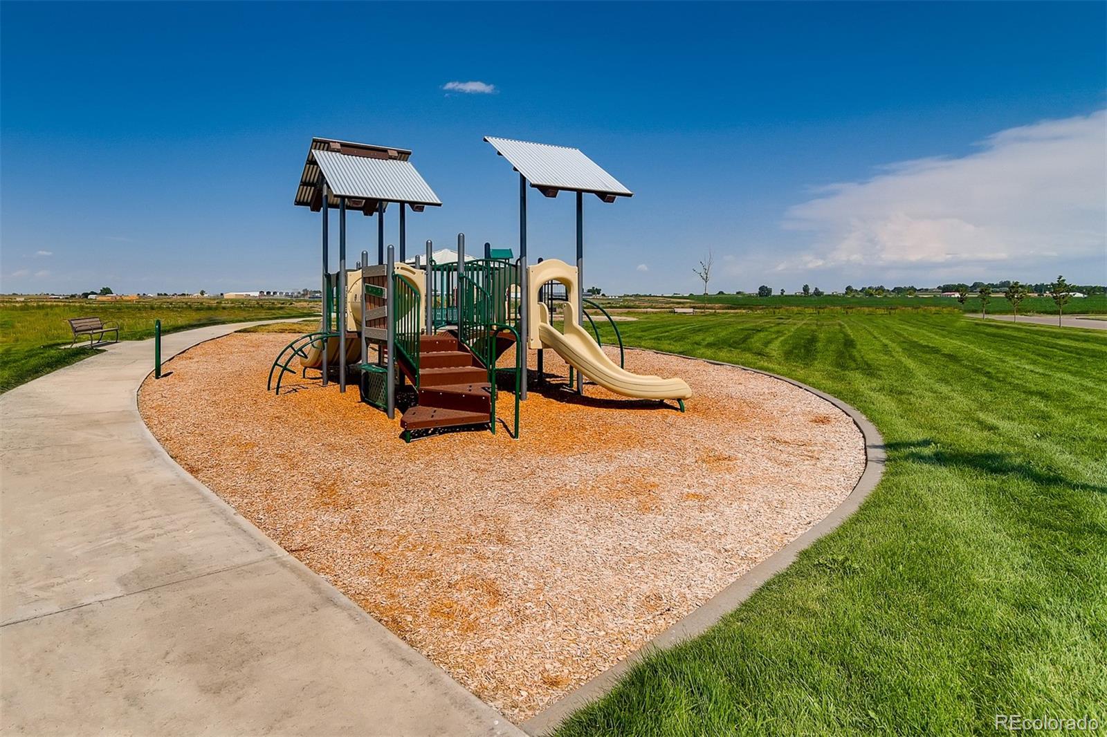 MLS Image #18 for 1056  long meadows street,severance, Colorado
