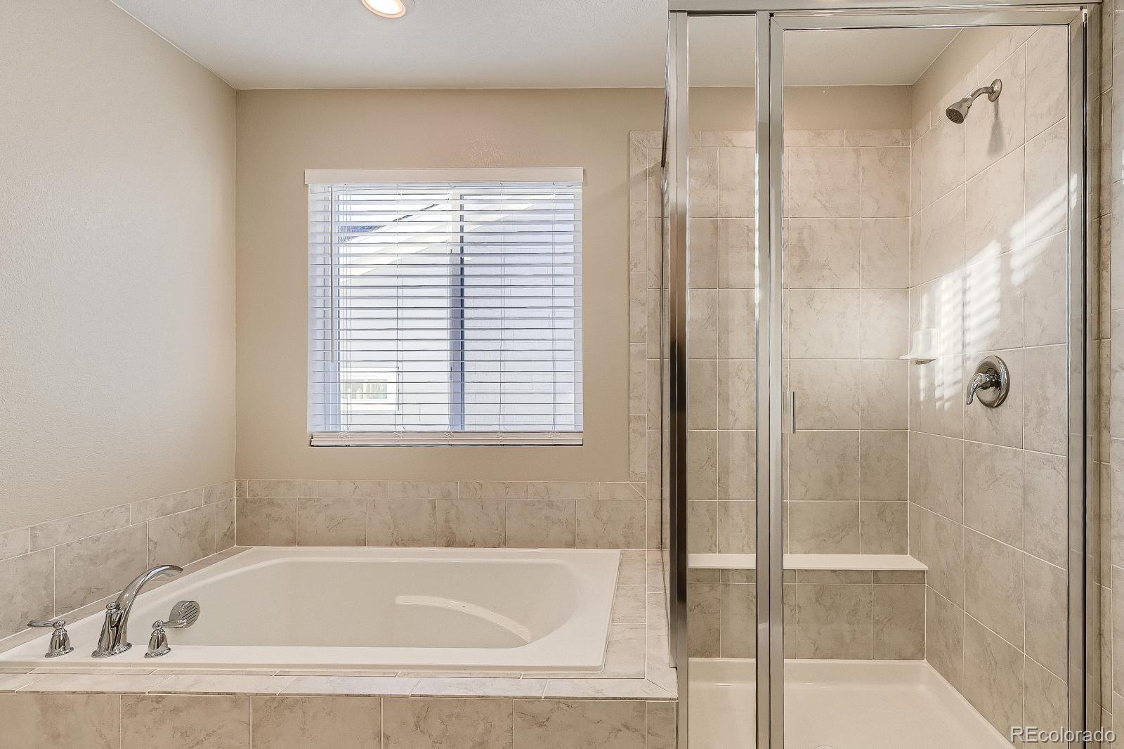 MLS Image #15 for 13362  amber sky street,parker, Colorado