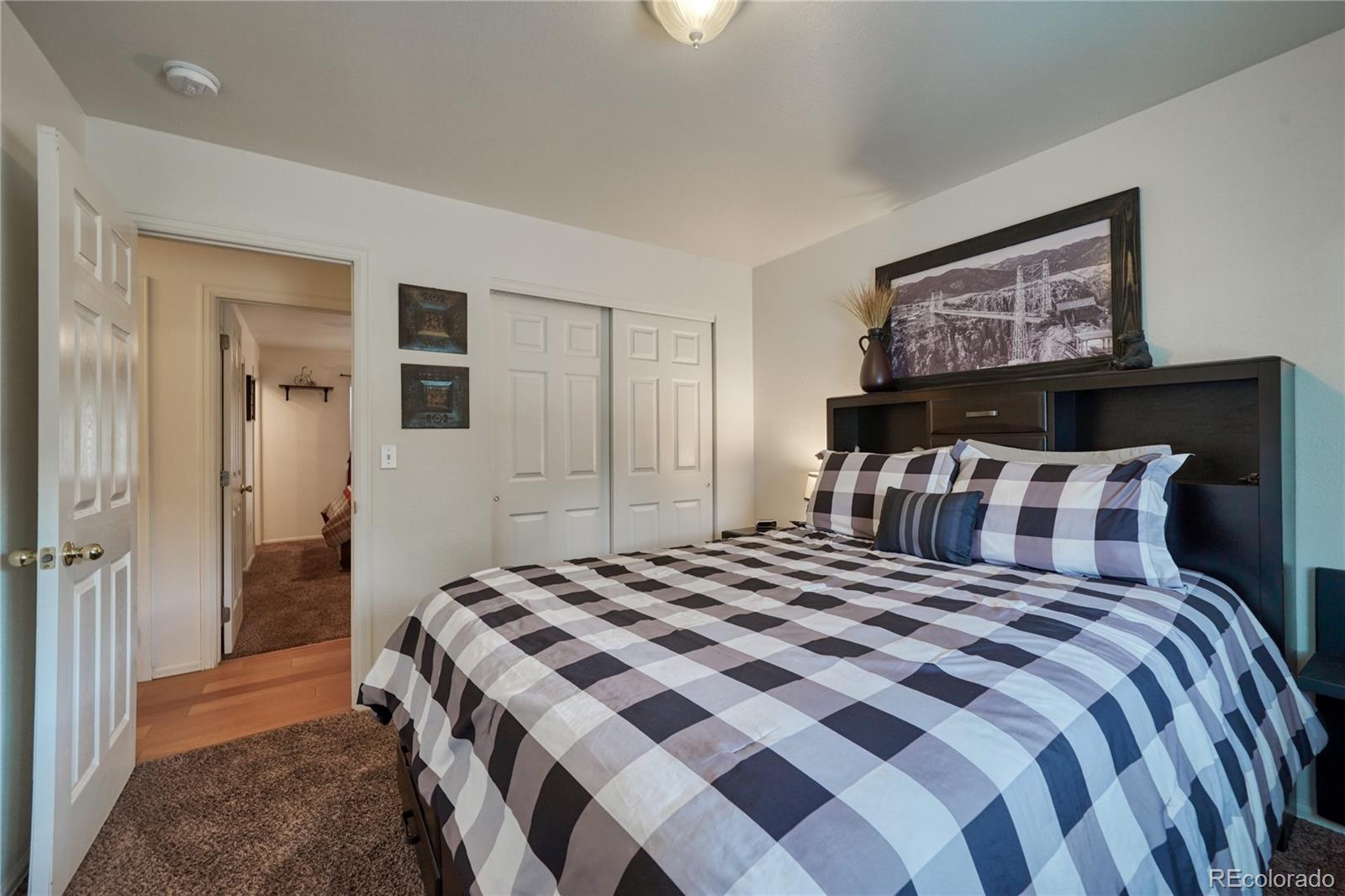 MLS Image #13 for 618  poncha avenue,poncha springs, Colorado