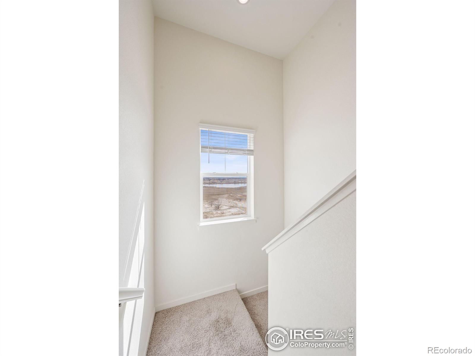 MLS Image #23 for 4401  garnet way,mead, Colorado