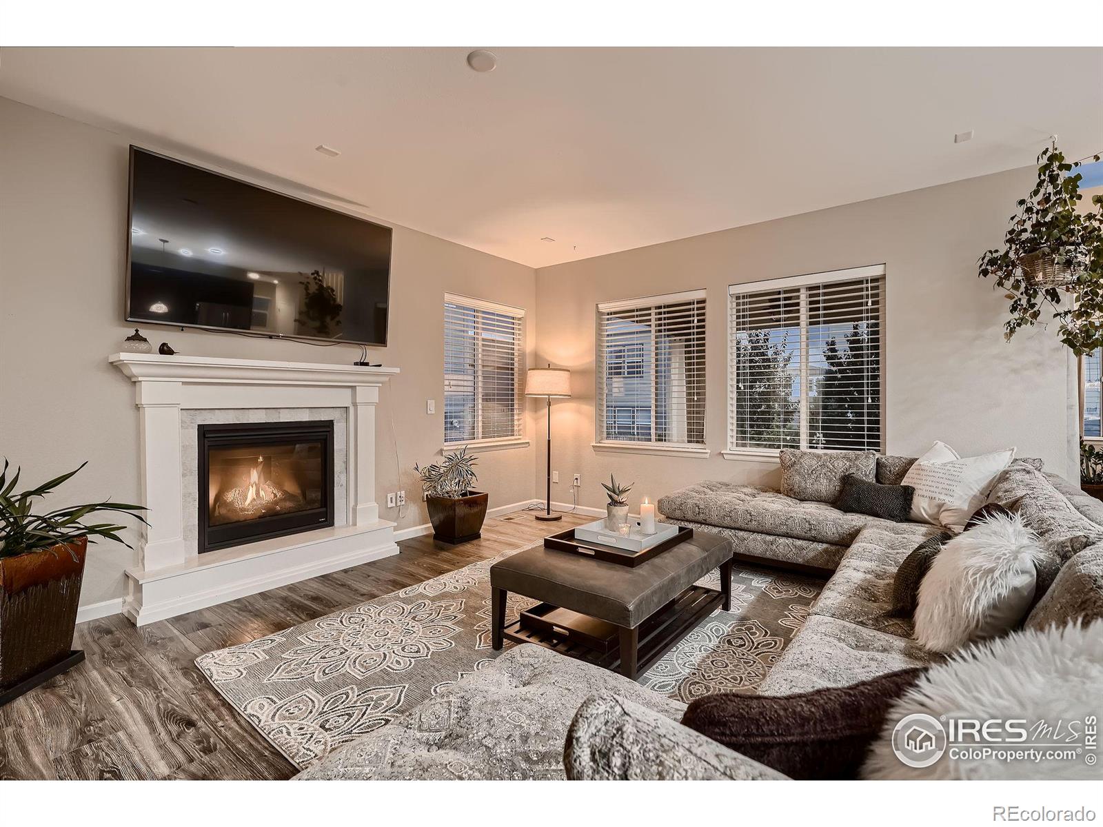 MLS Image #2 for 6894 e 133rd place,thornton, Colorado