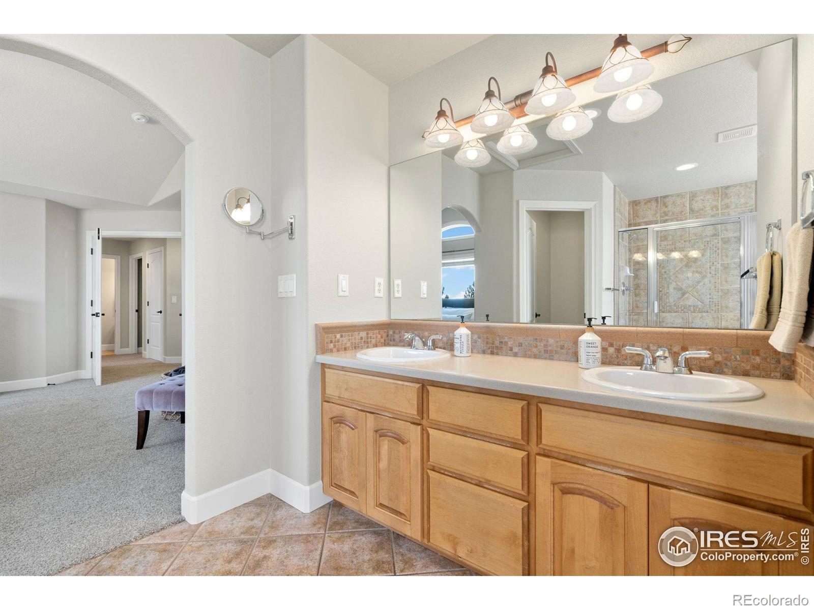 MLS Image #20 for 6031  highland hills court,fort collins, Colorado