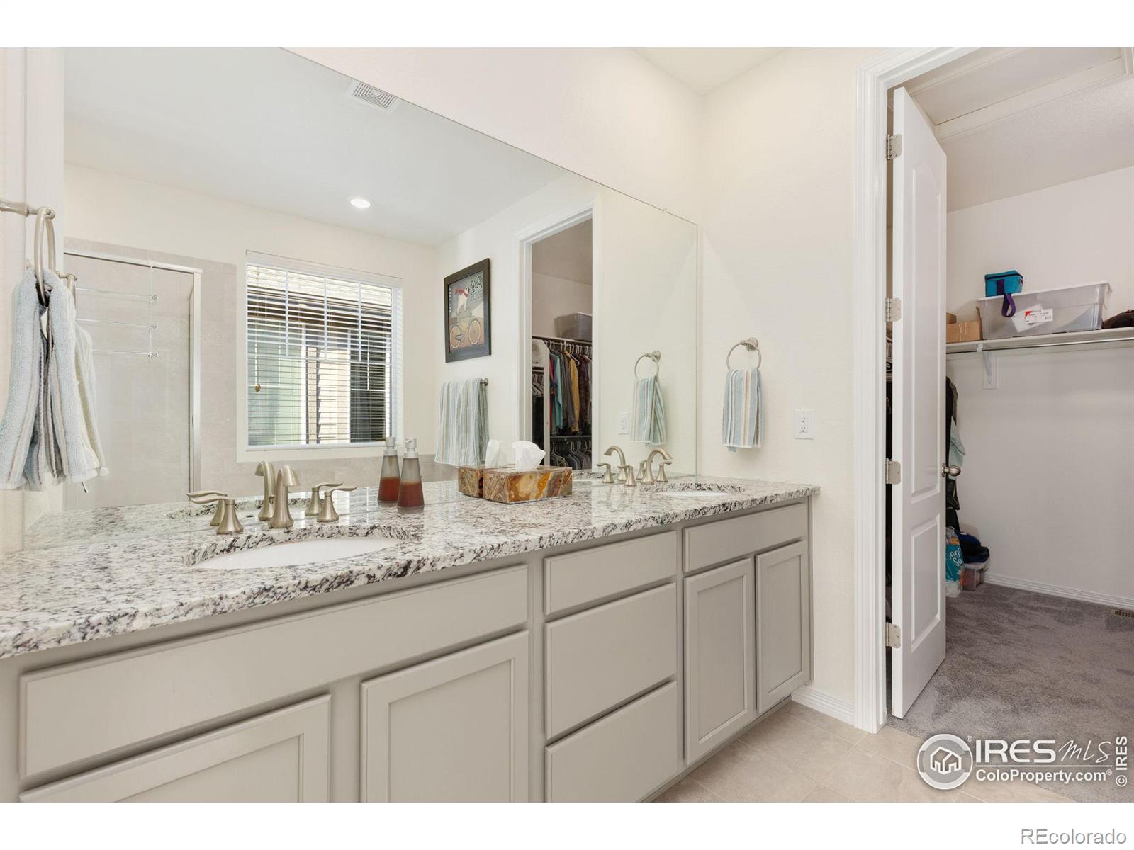 MLS Image #17 for 2342  spotswood street,longmont, Colorado