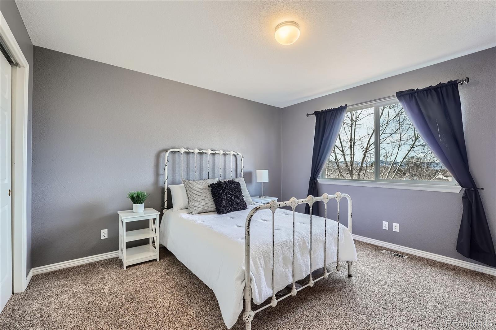 MLS Image #16 for 1045  english sparrow trail,highlands ranch, Colorado