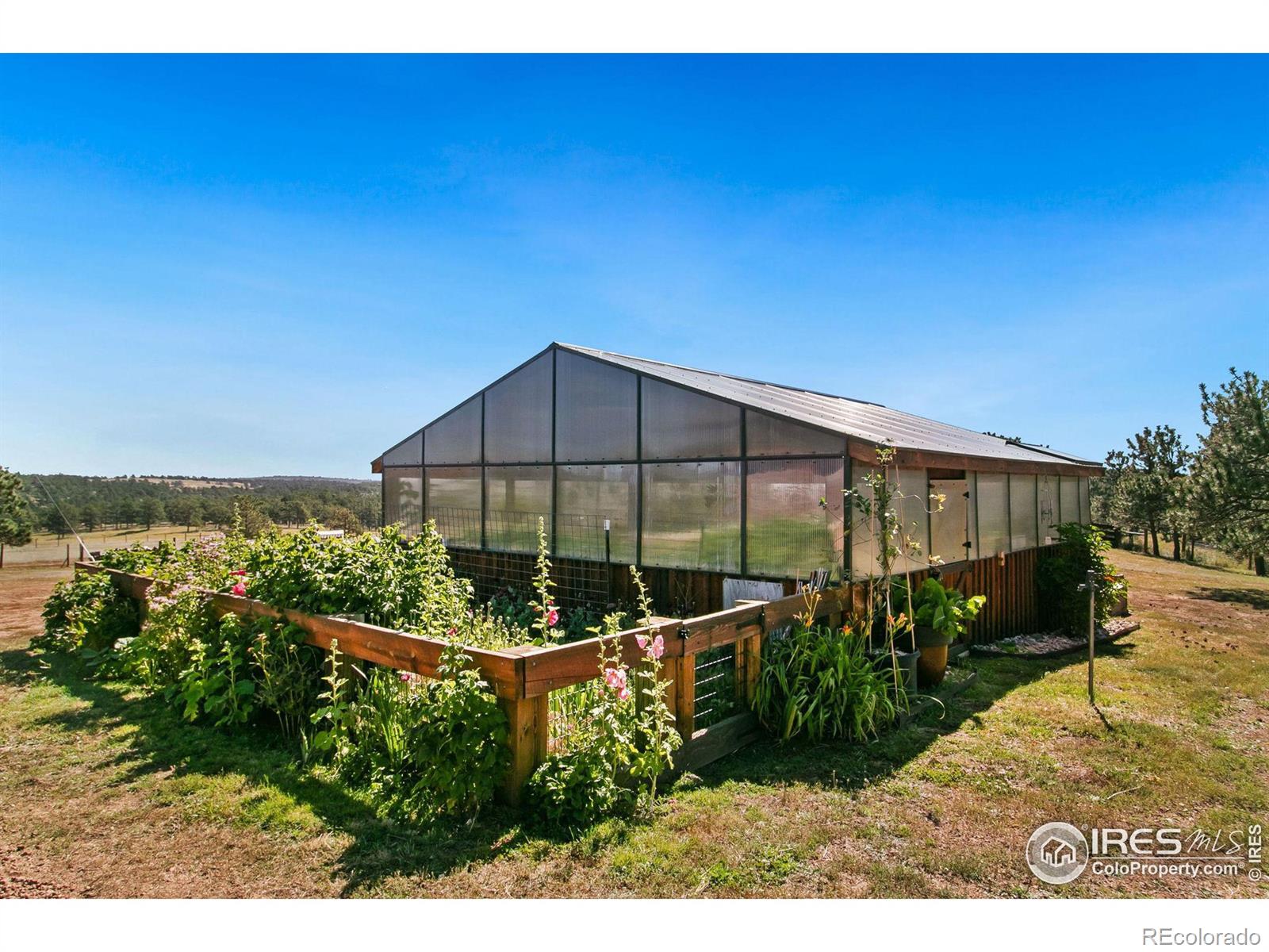 MLS Image #6 for 9512  red mountain road,livermore, Colorado