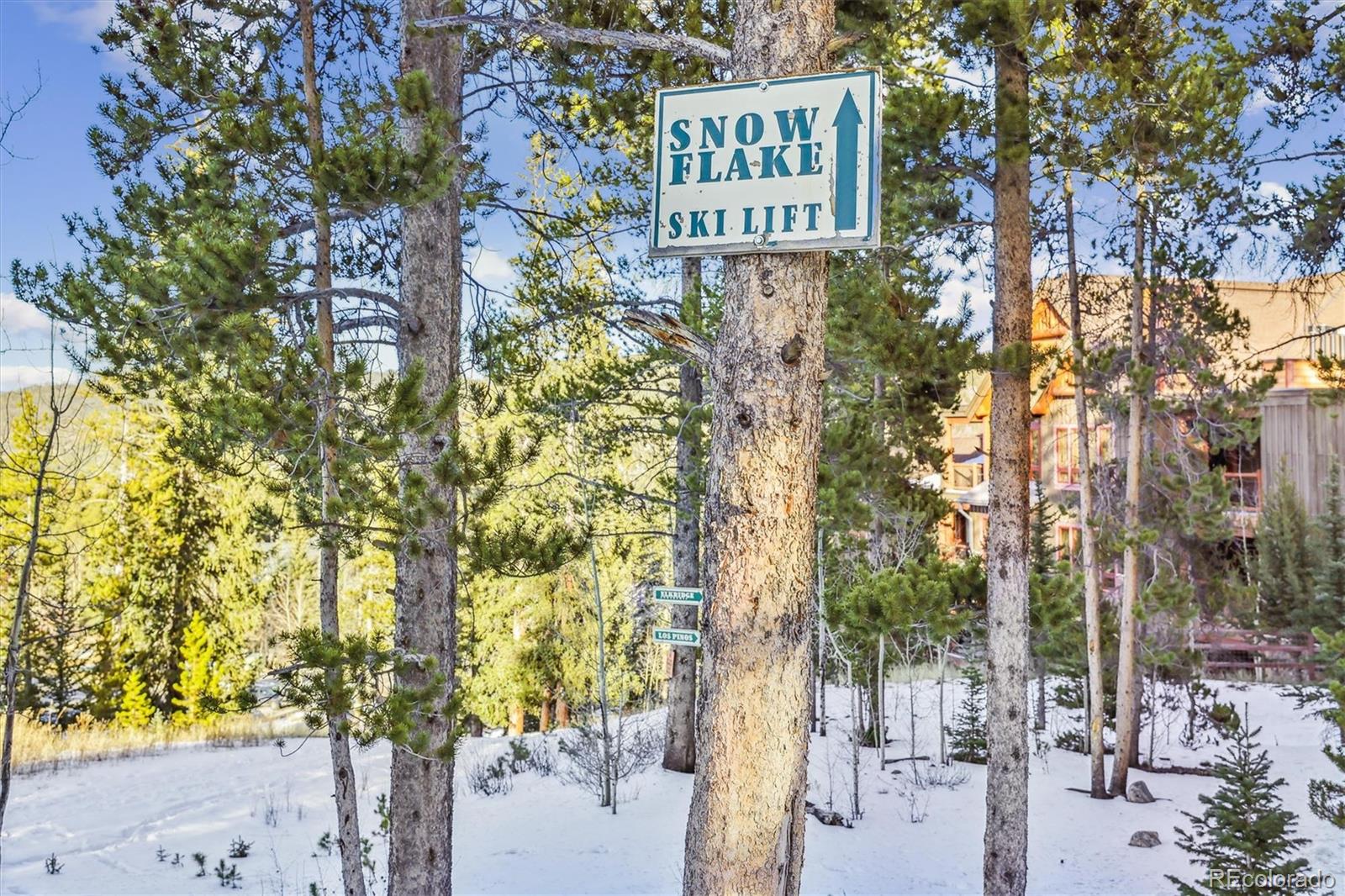 MLS Image #10 for 52  bluff court,breckenridge, Colorado