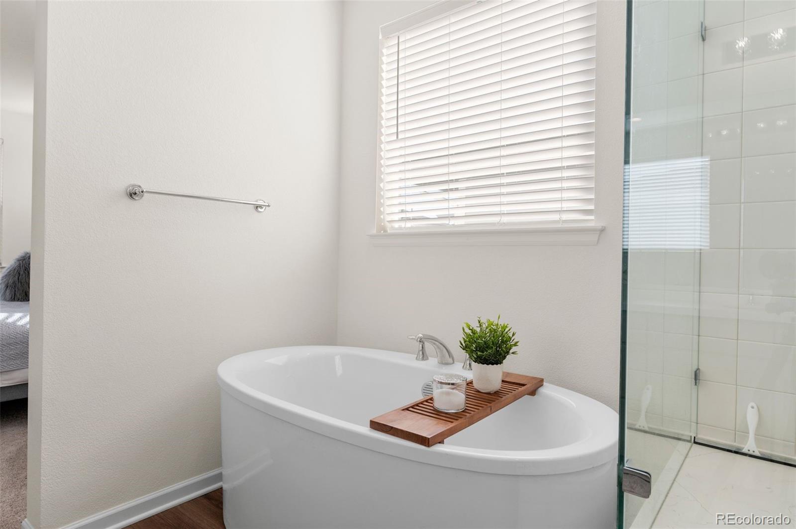 MLS Image #21 for 5861  tesoro point,parker, Colorado