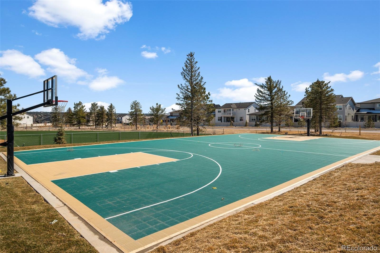 MLS Image #41 for 5861  tesoro point,parker, Colorado