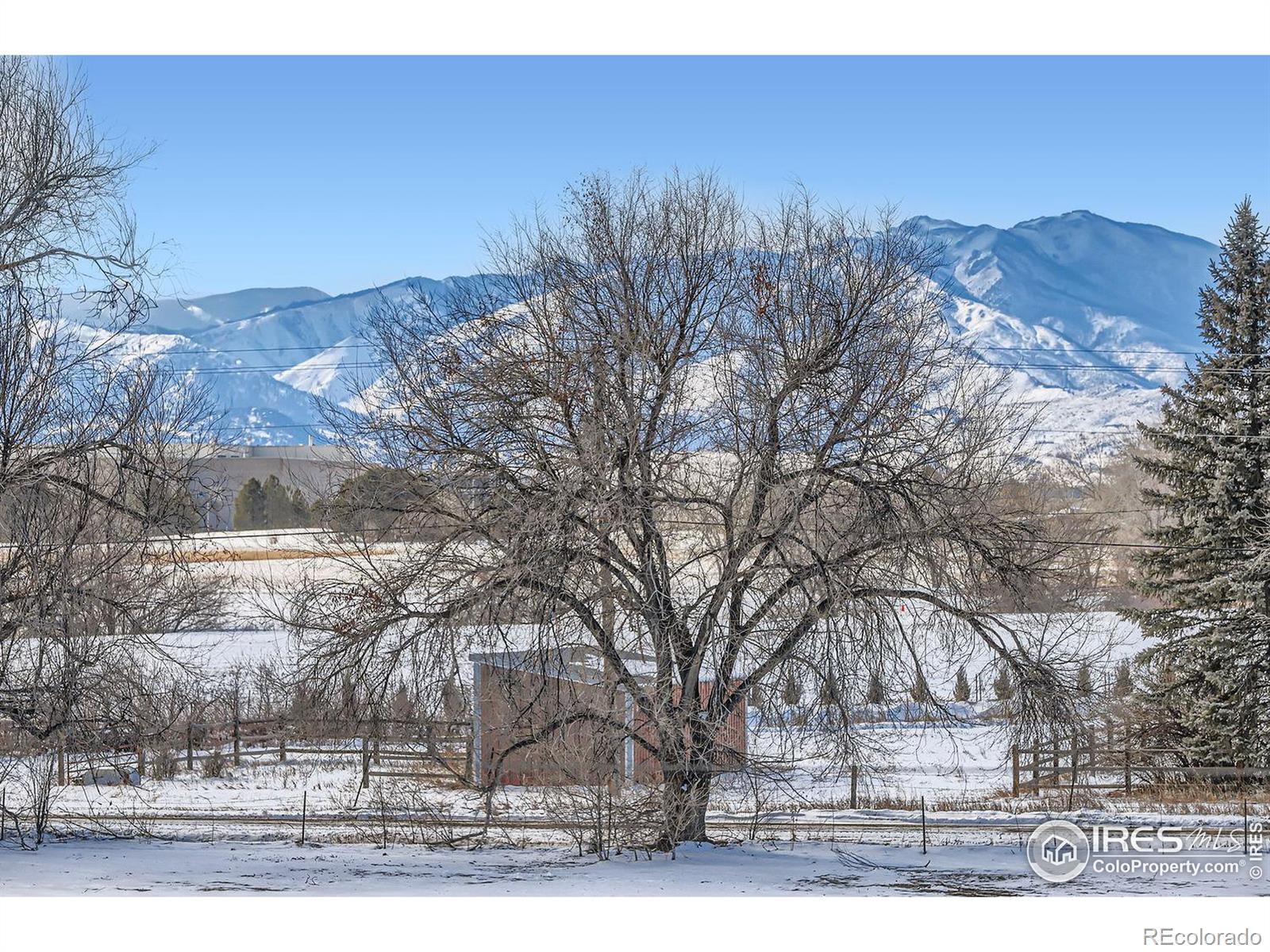 MLS Image #12 for 3013  south flat circle,longmont, Colorado