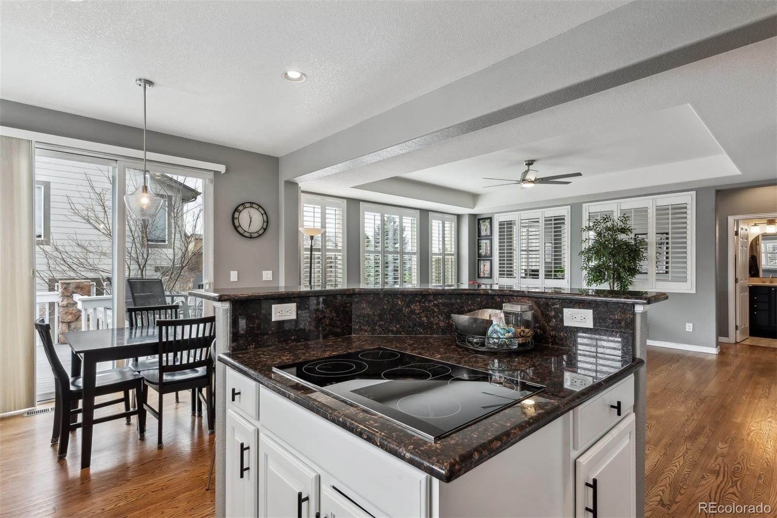 MLS Image #12 for 2916  oakshire court,highlands ranch, Colorado