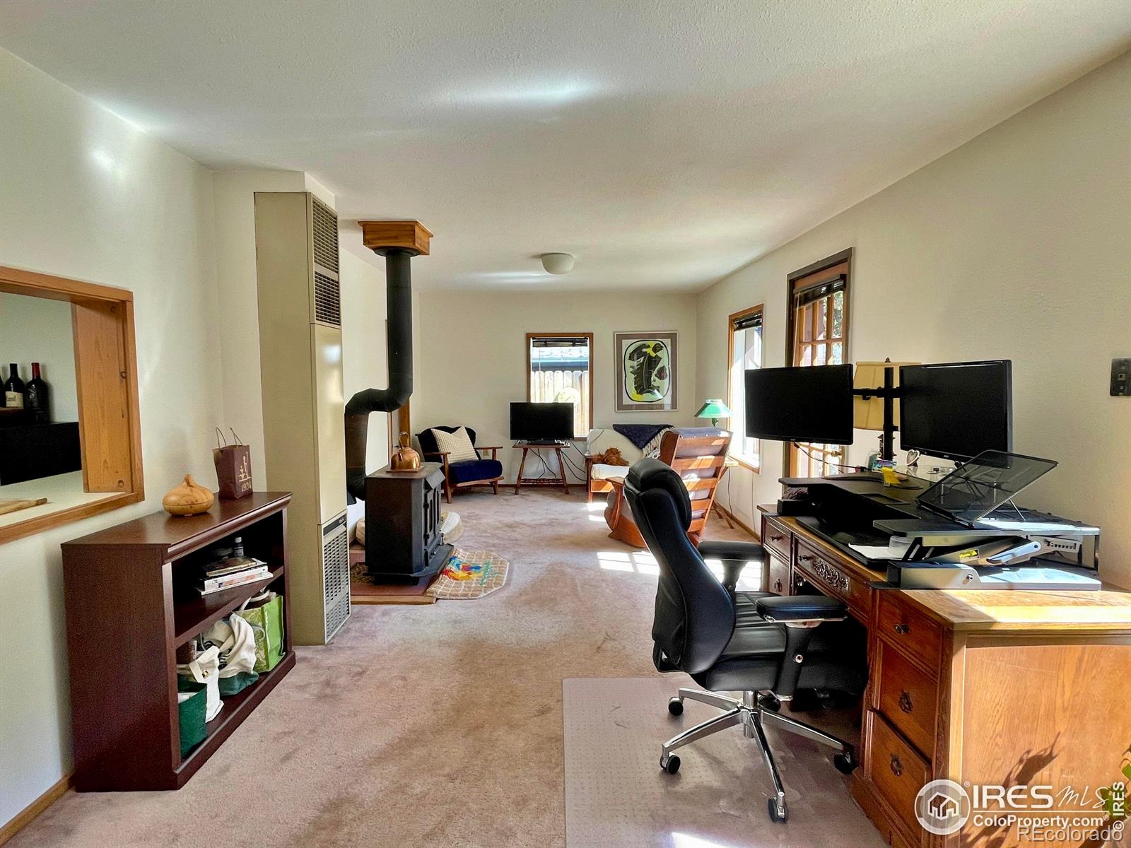 MLS Image #4 for 28  ward street,jamestown, Colorado