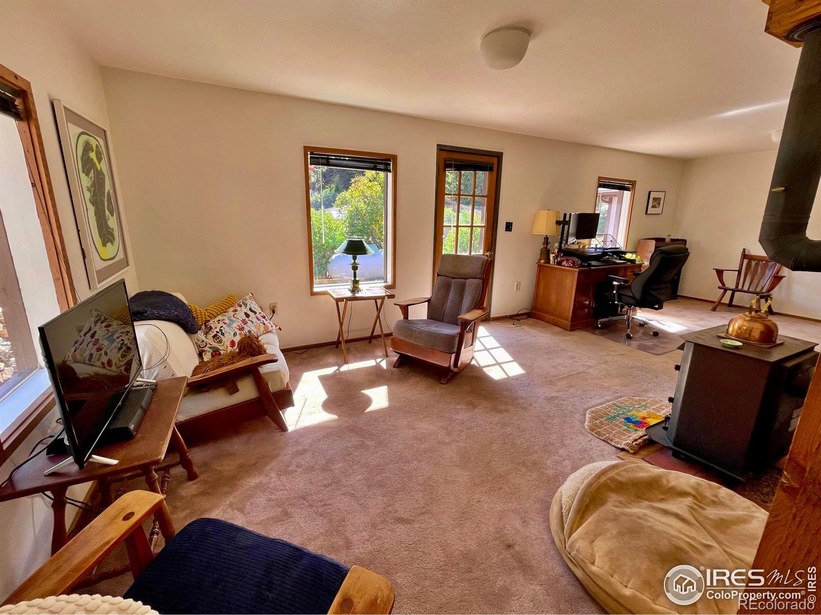 MLS Image #5 for 28  ward street,jamestown, Colorado