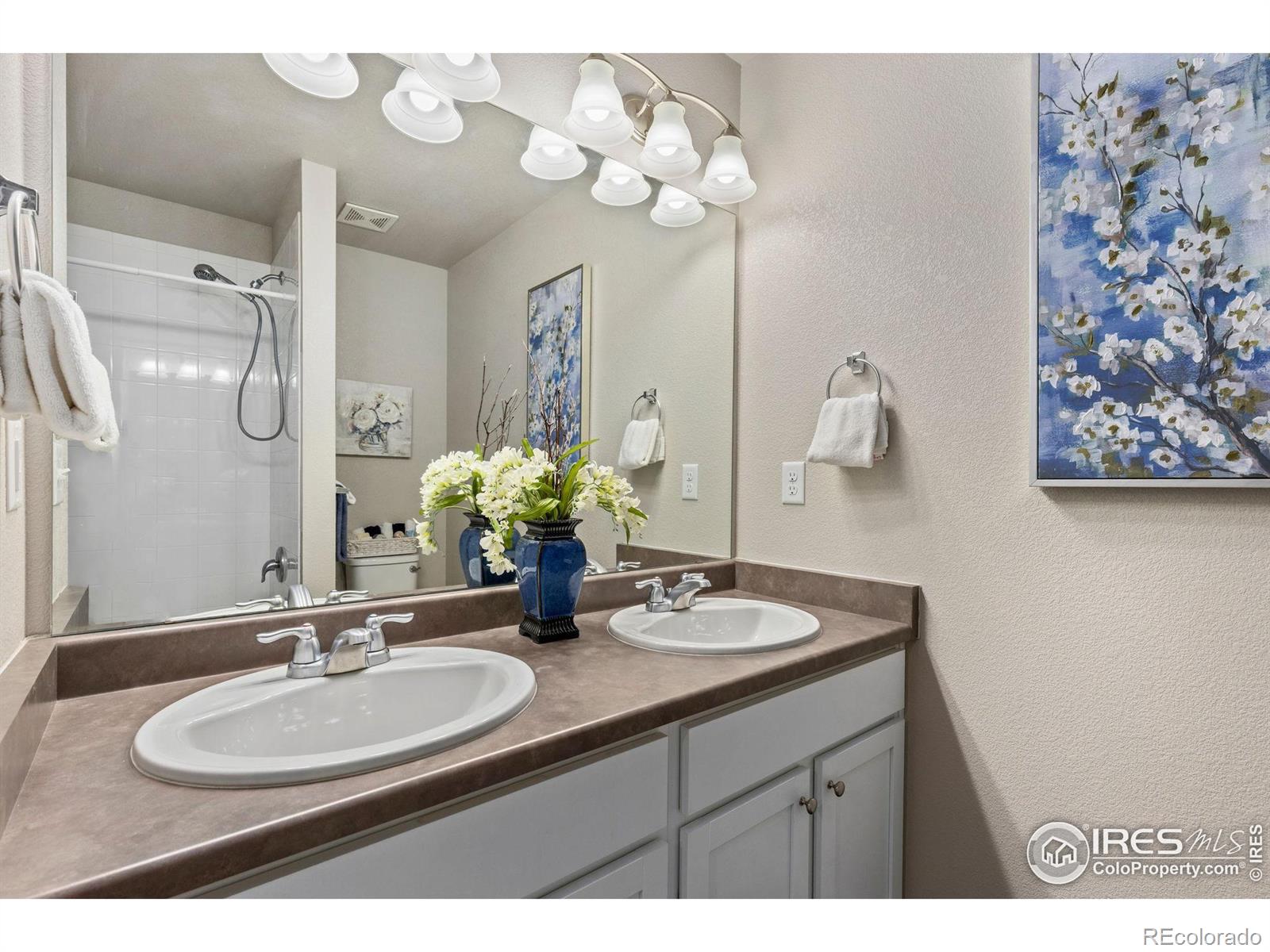MLS Image #23 for 2405  horse shoe circle,fort lupton, Colorado