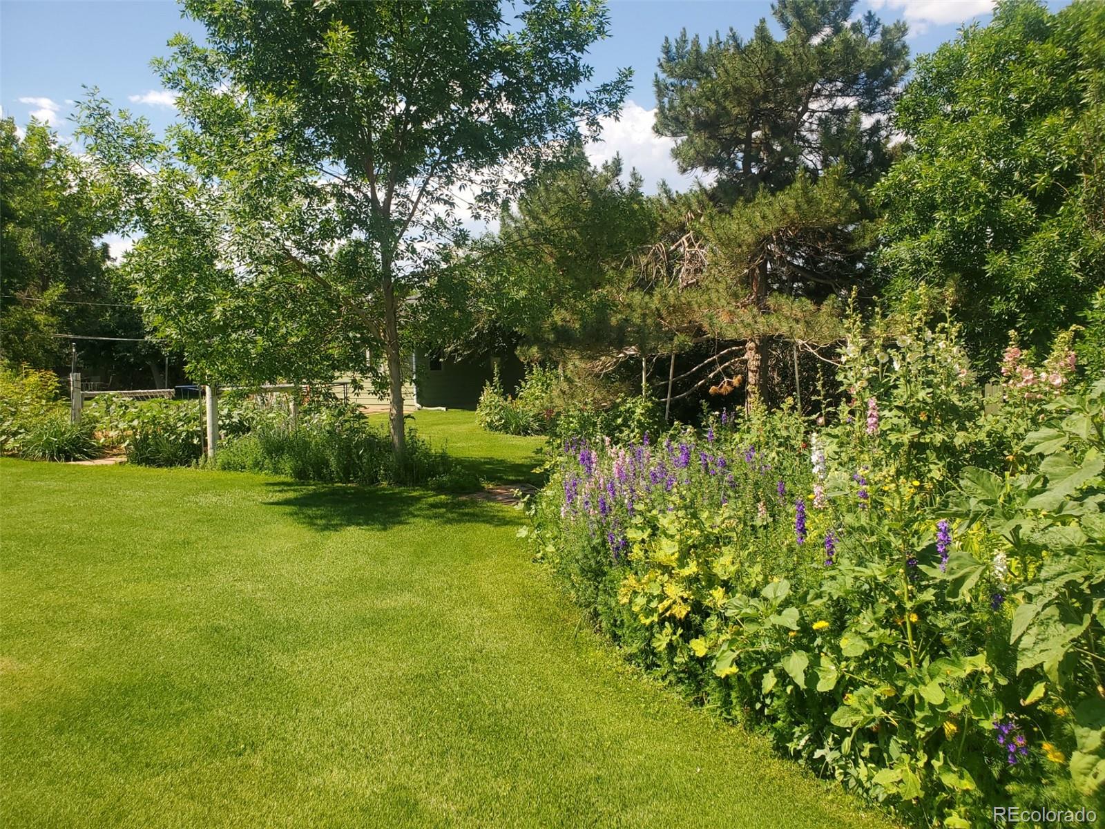 MLS Image #9 for 2208  champlain drive,boulder, Colorado