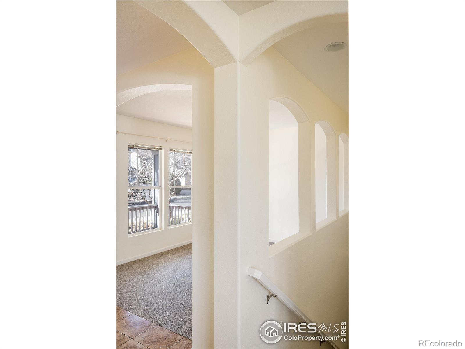 MLS Image #6 for 4004  ravenna place,longmont, Colorado