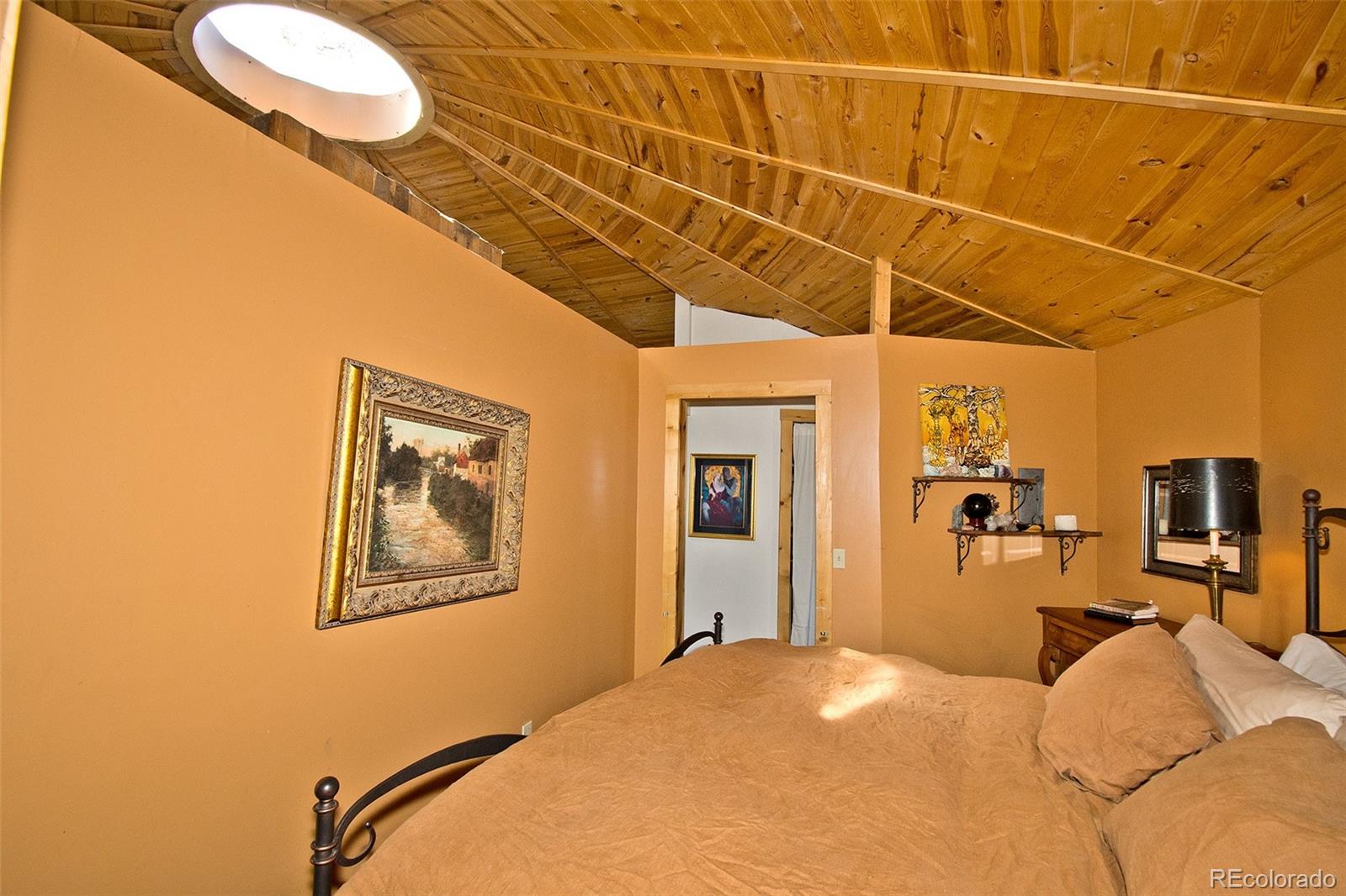 MLS Image #15 for 157  moonlight way,crestone, Colorado