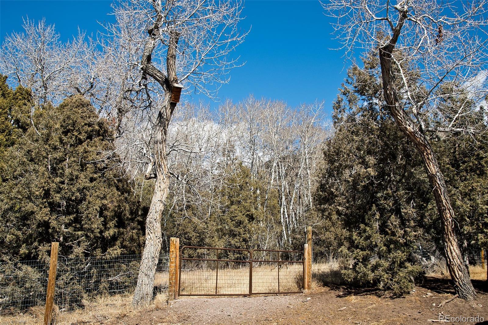 MLS Image #26 for 157  moonlight way,crestone, Colorado