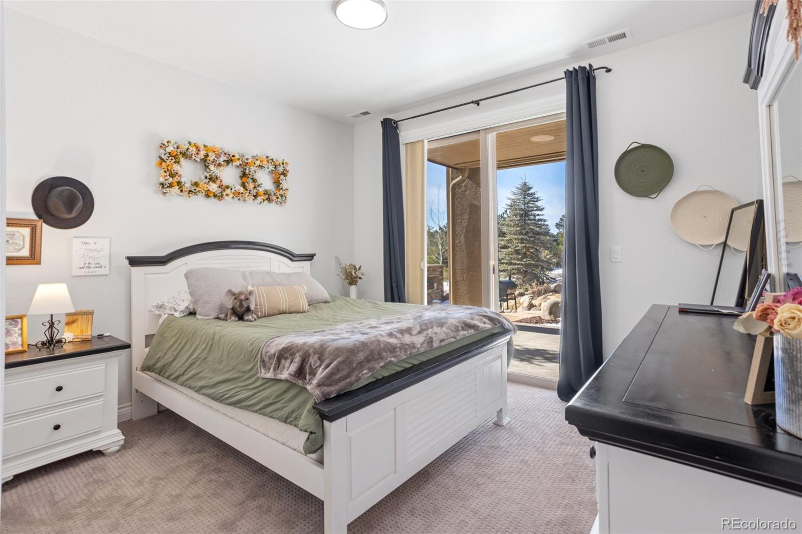 MLS Image #37 for 16182  timber meadow drive,colorado springs, Colorado