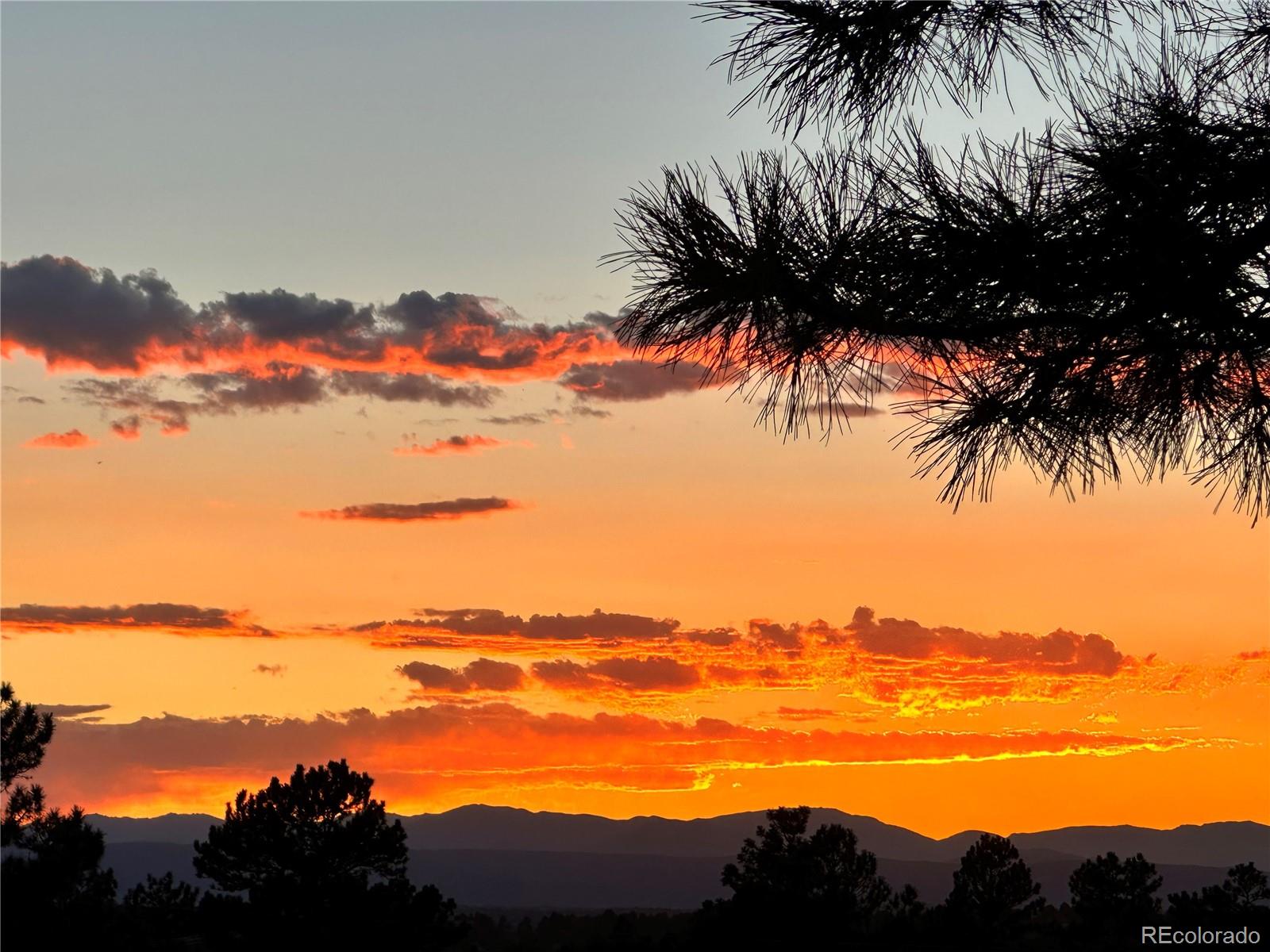MLS Image #48 for 121  county road 146 ,elizabeth, Colorado