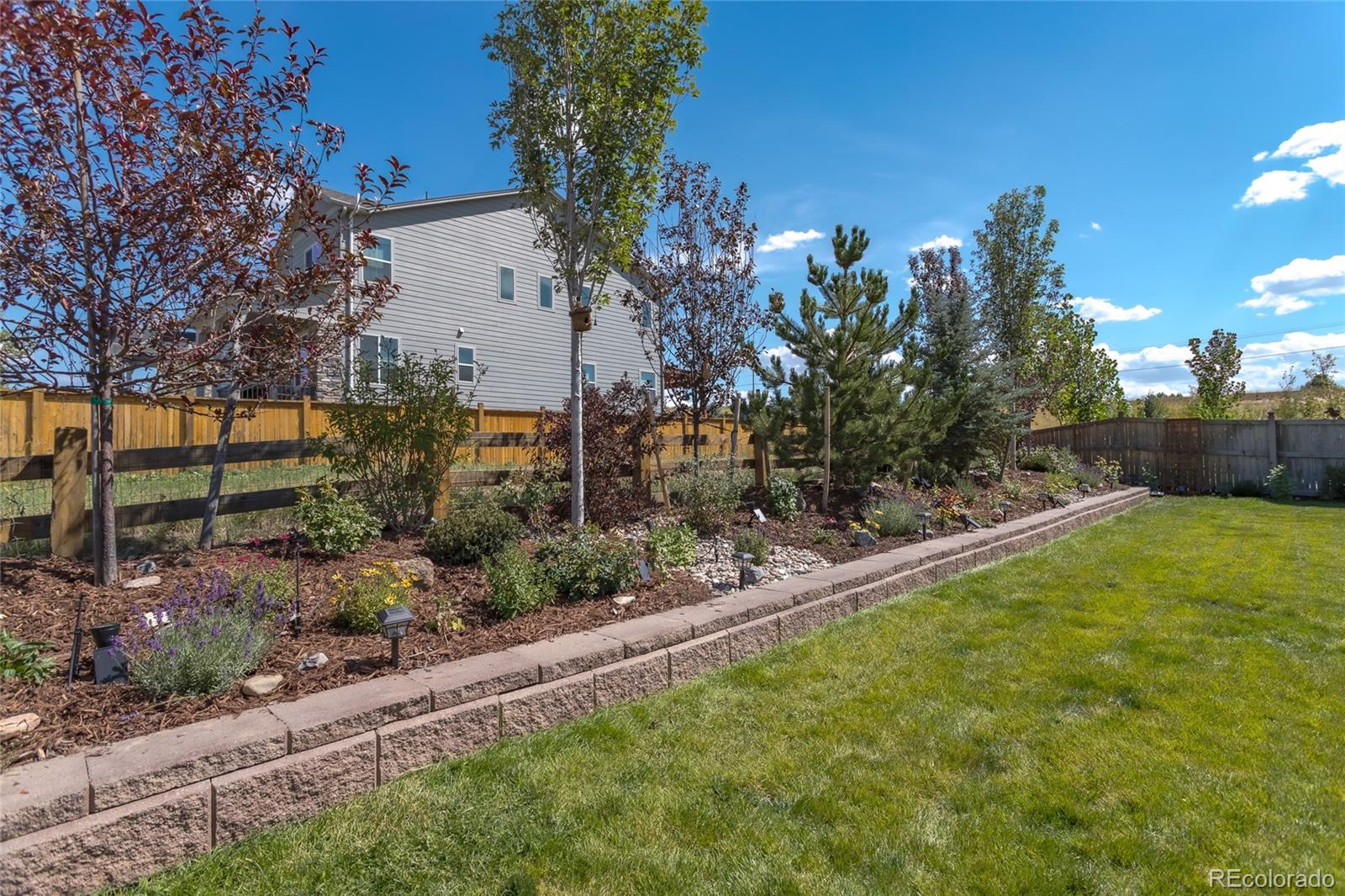MLS Image #29 for 1135  basalt ridge loop,castle rock, Colorado