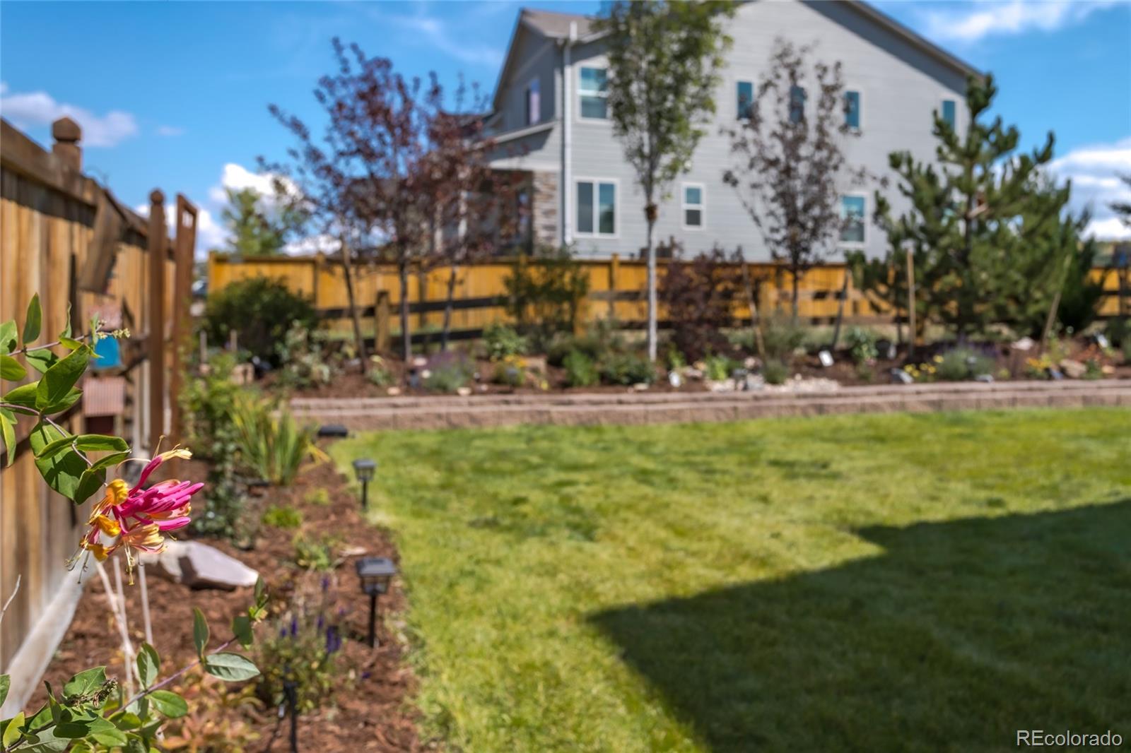 MLS Image #30 for 1135  basalt ridge loop,castle rock, Colorado