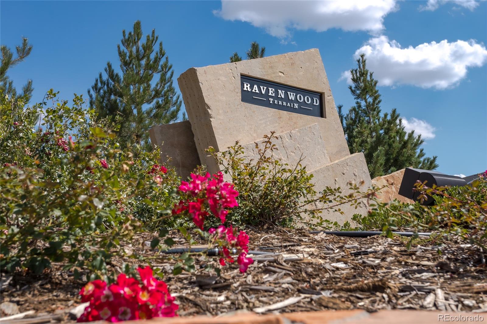 MLS Image #41 for 1135  basalt ridge loop,castle rock, Colorado