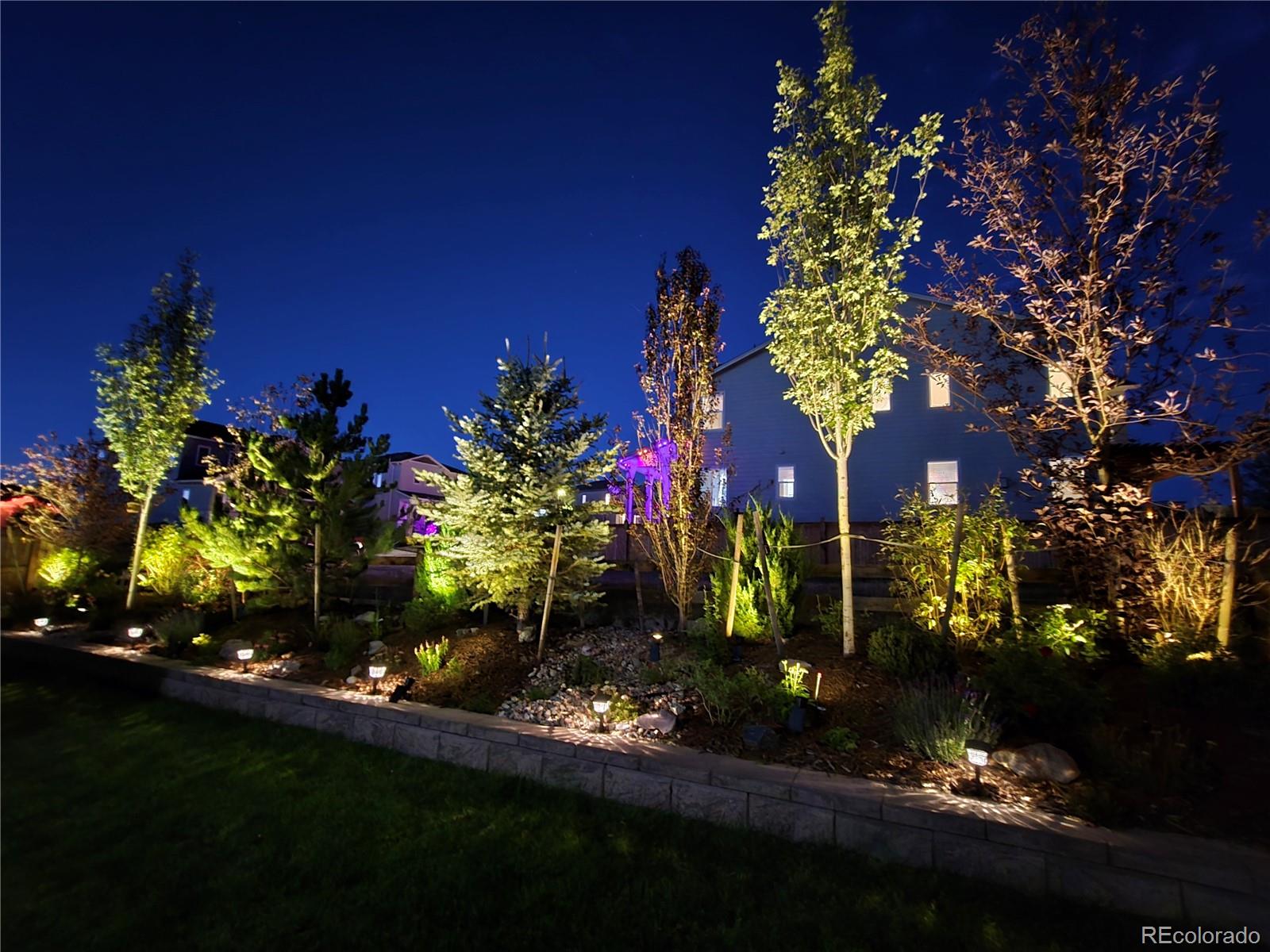 MLS Image #44 for 1135  basalt ridge loop,castle rock, Colorado