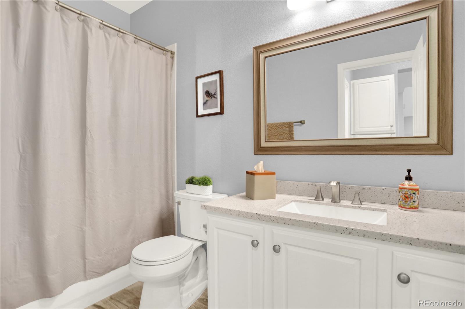 MLS Image #16 for 10546  graymont lane,highlands ranch, Colorado