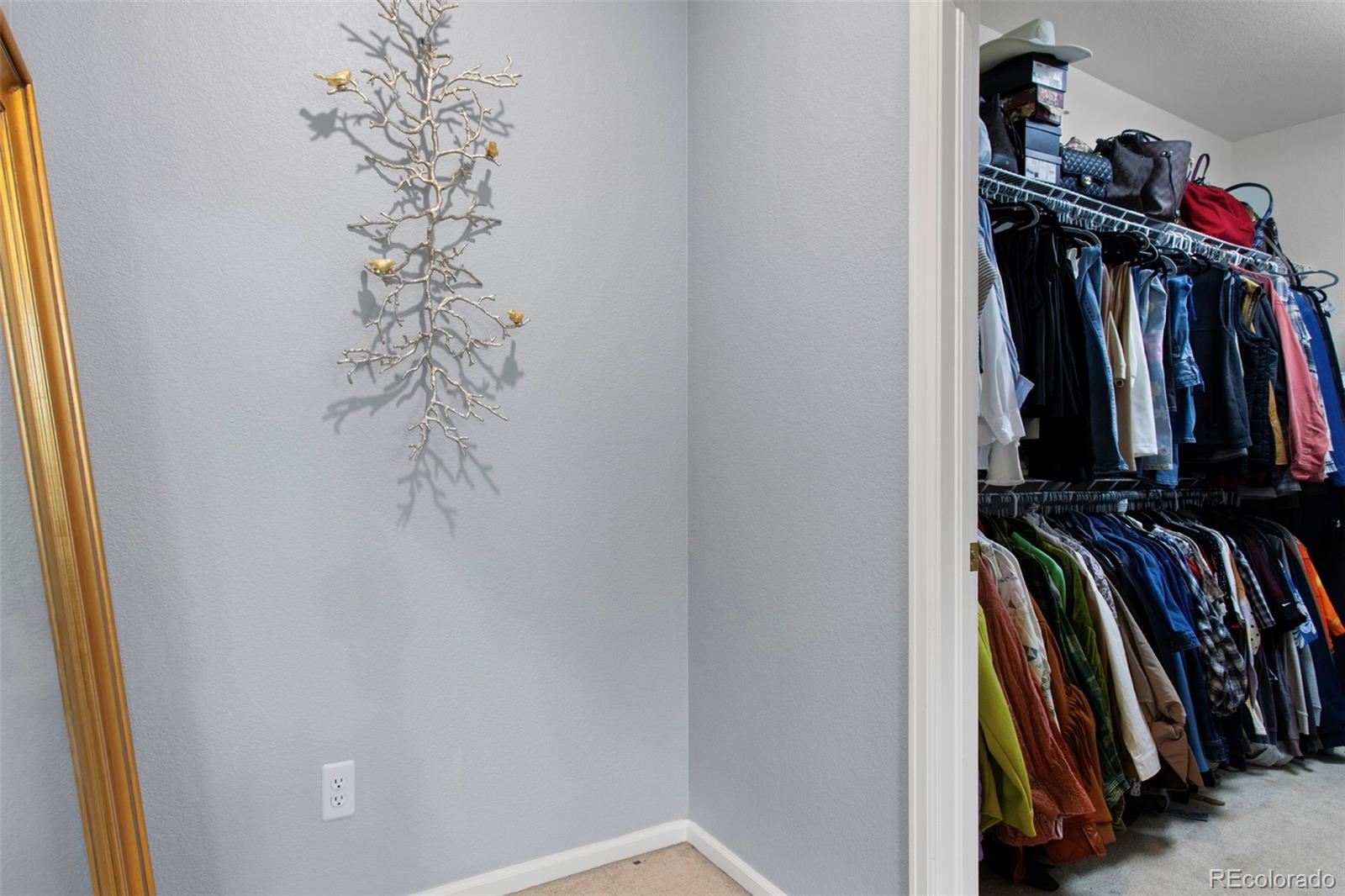 MLS Image #26 for 10546  graymont lane,highlands ranch, Colorado