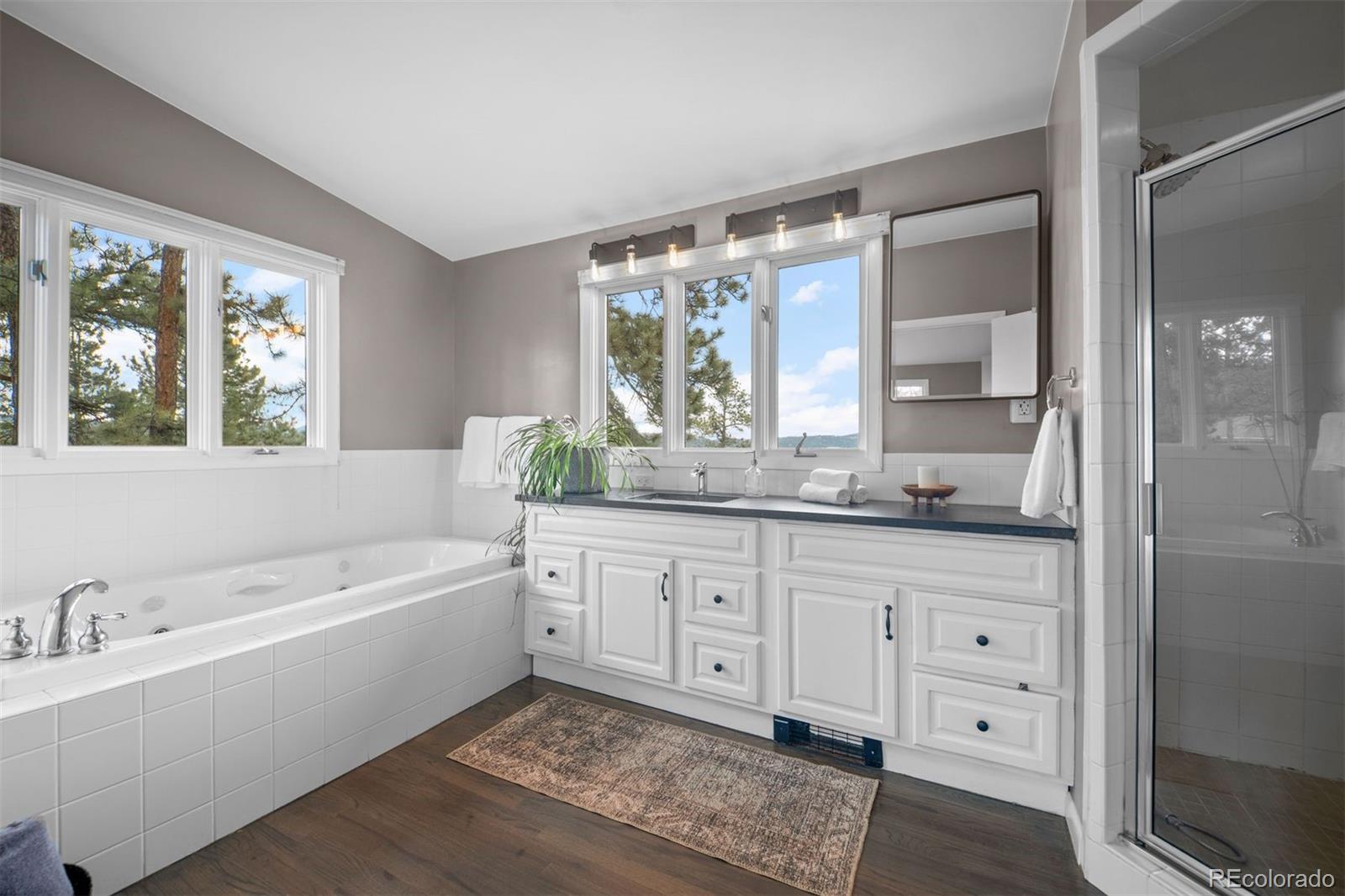 MLS Image #27 for 29309  buchanan drive,evergreen, Colorado